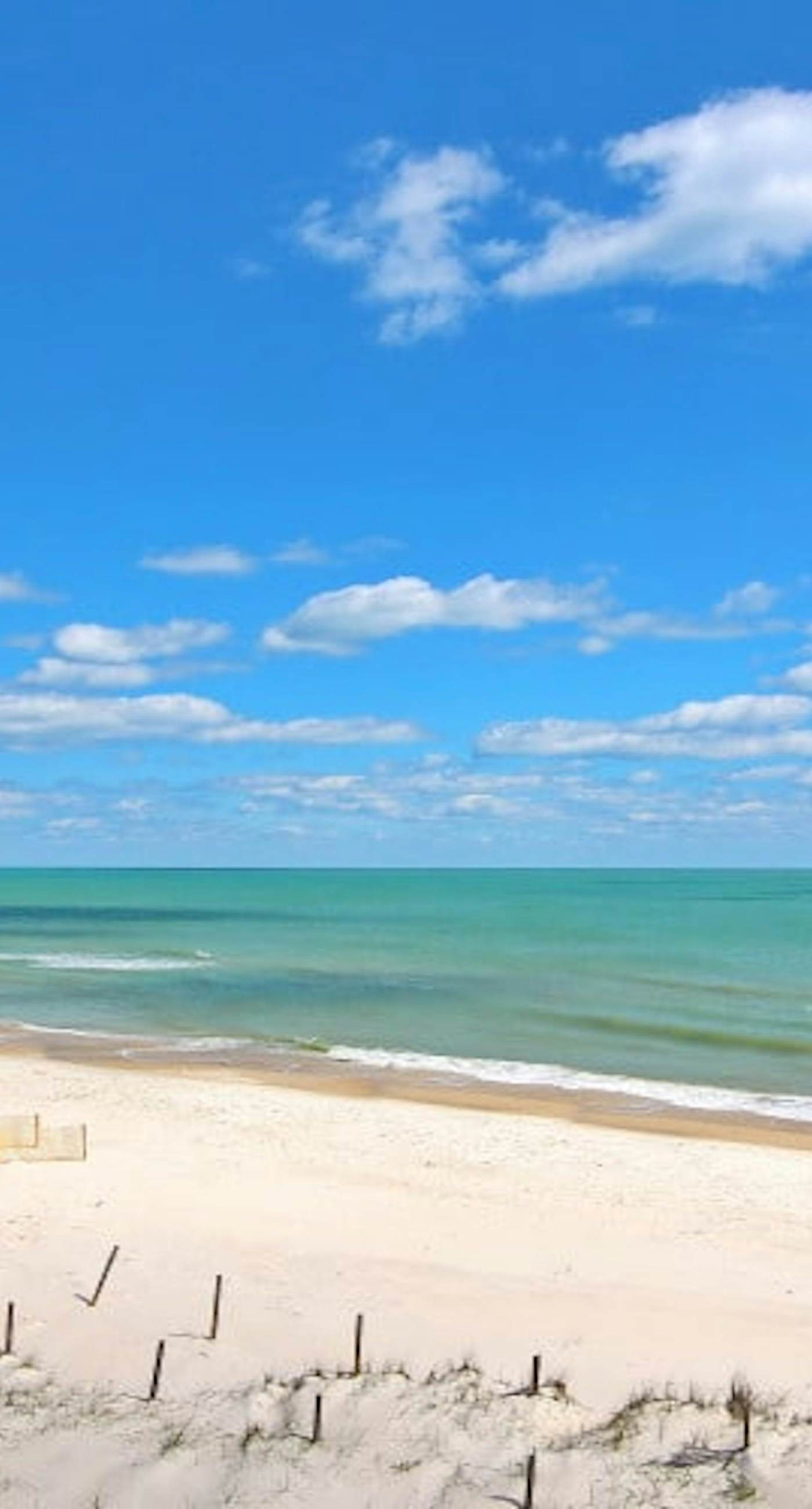 Dog-friendly Condo with a Shared Pool, Great Beach Vibes, & Stunning Views