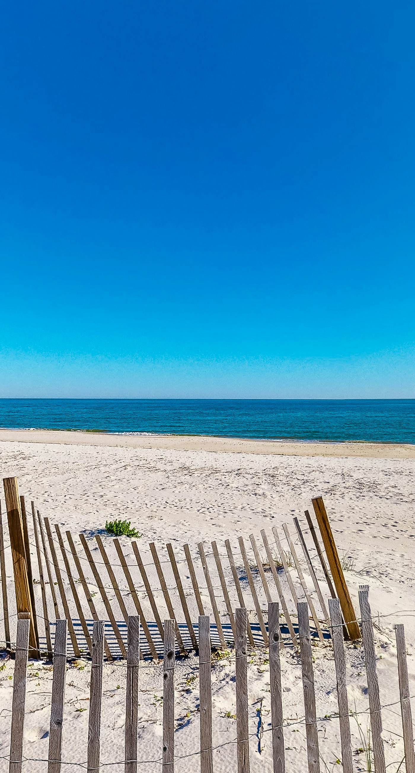 Dog-friendly Condo with a Shared Pool, Great Beach Vibes, & Stunning Views