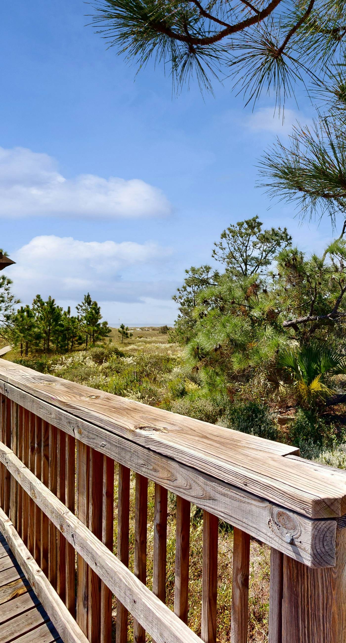 Gorgeous coastal home with shared pool and easy beach access