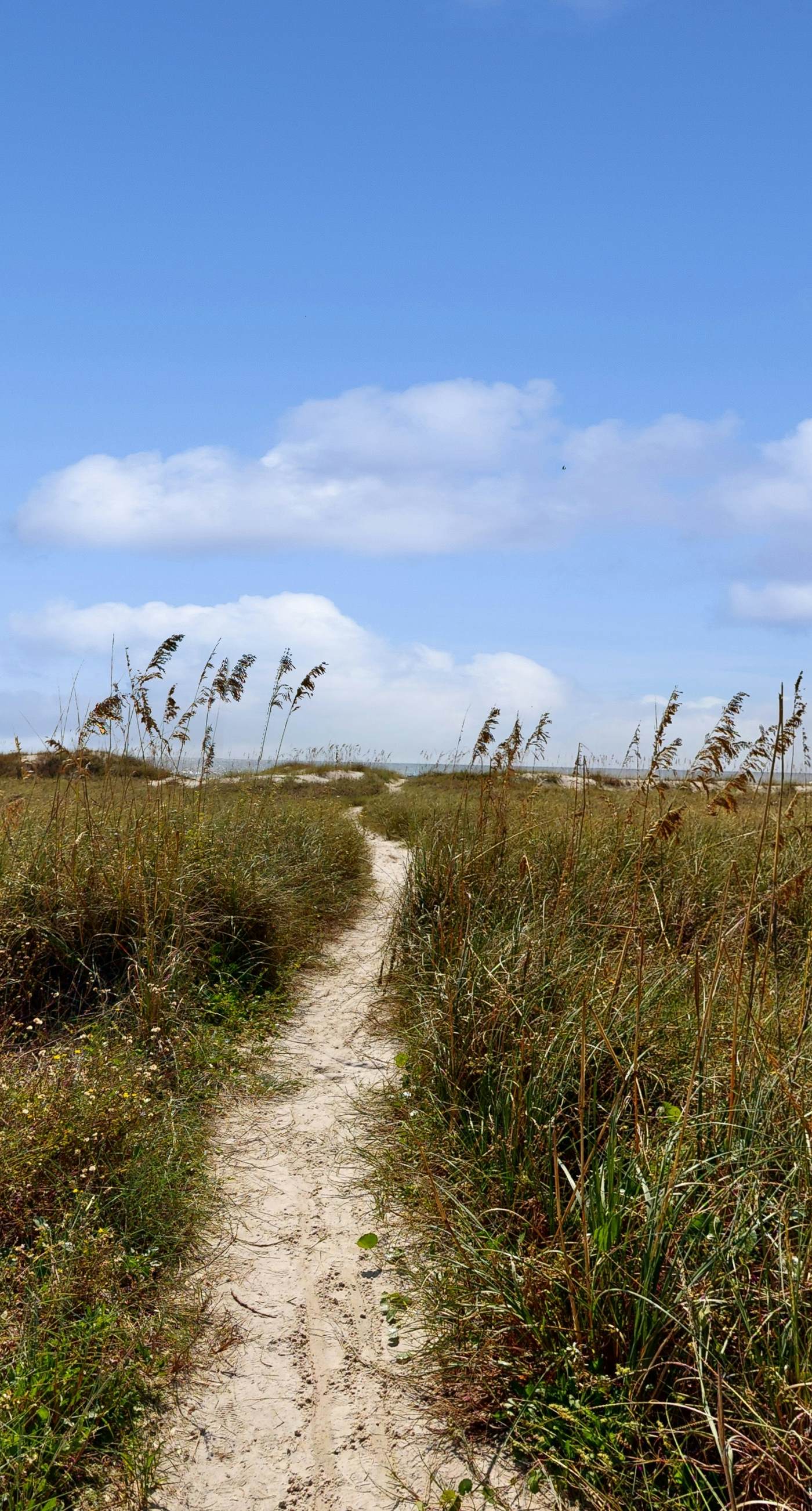 Gorgeous coastal home with shared pool and easy beach access