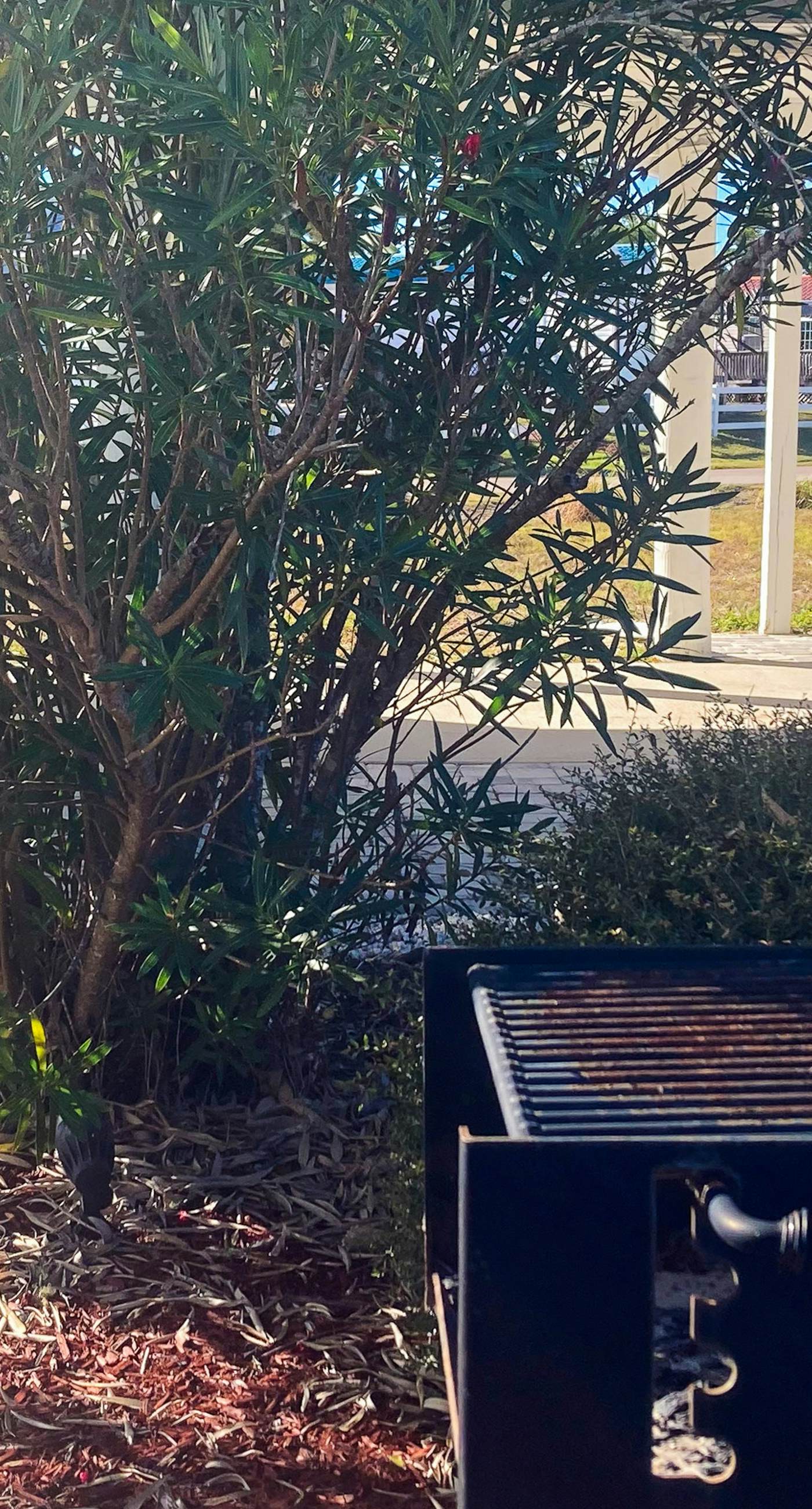 Cozy coastal home with plenty of space, full kitchen and close to beach