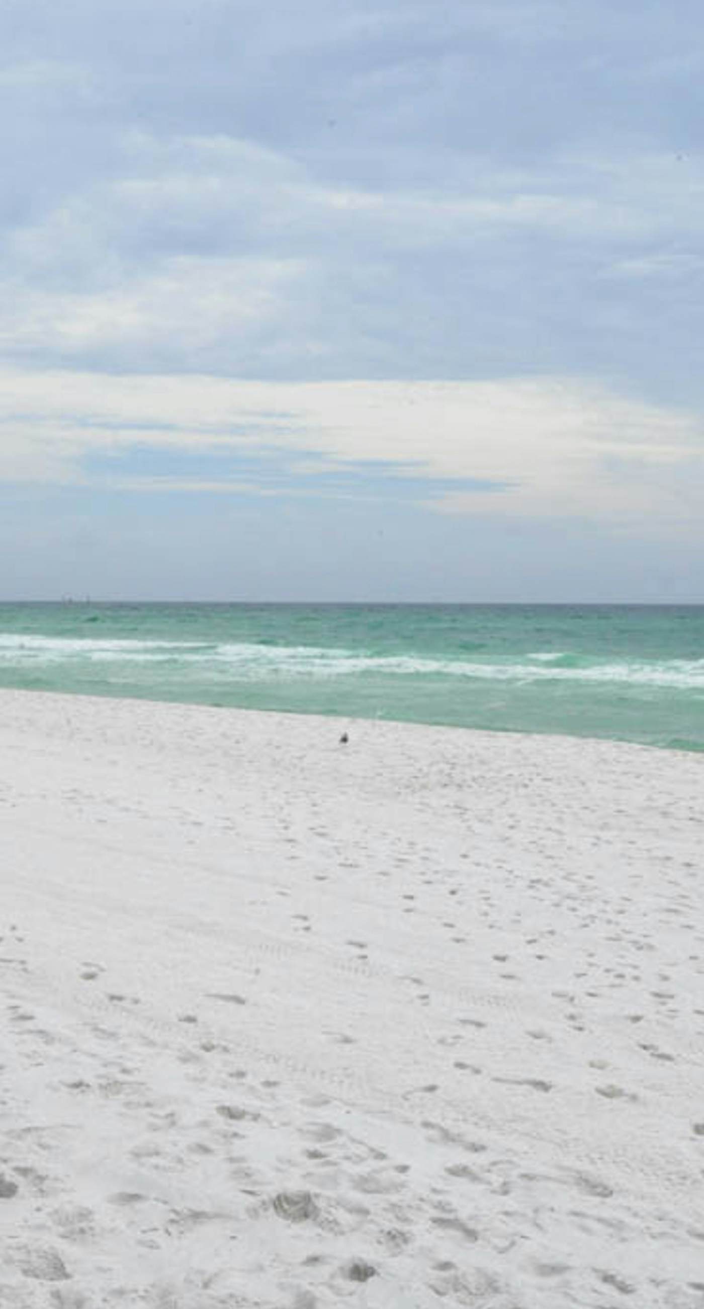 Azure 520 Floor Gulf Front Condo Fun Amenities, Nearby Shopping & Dining