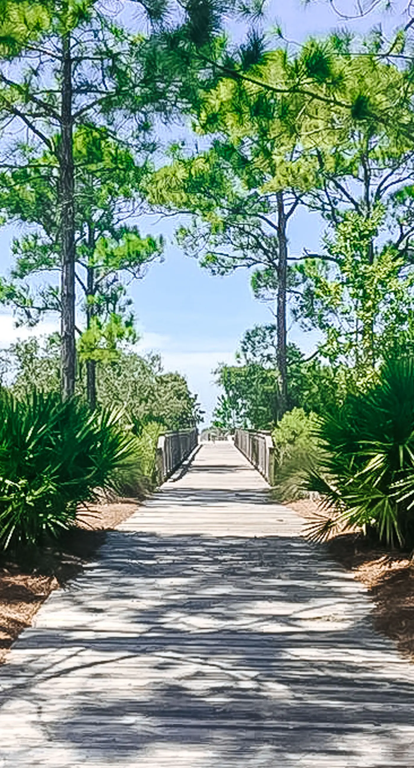 Dog-friendly home & casita with pool & beach access, central AC, & W/D