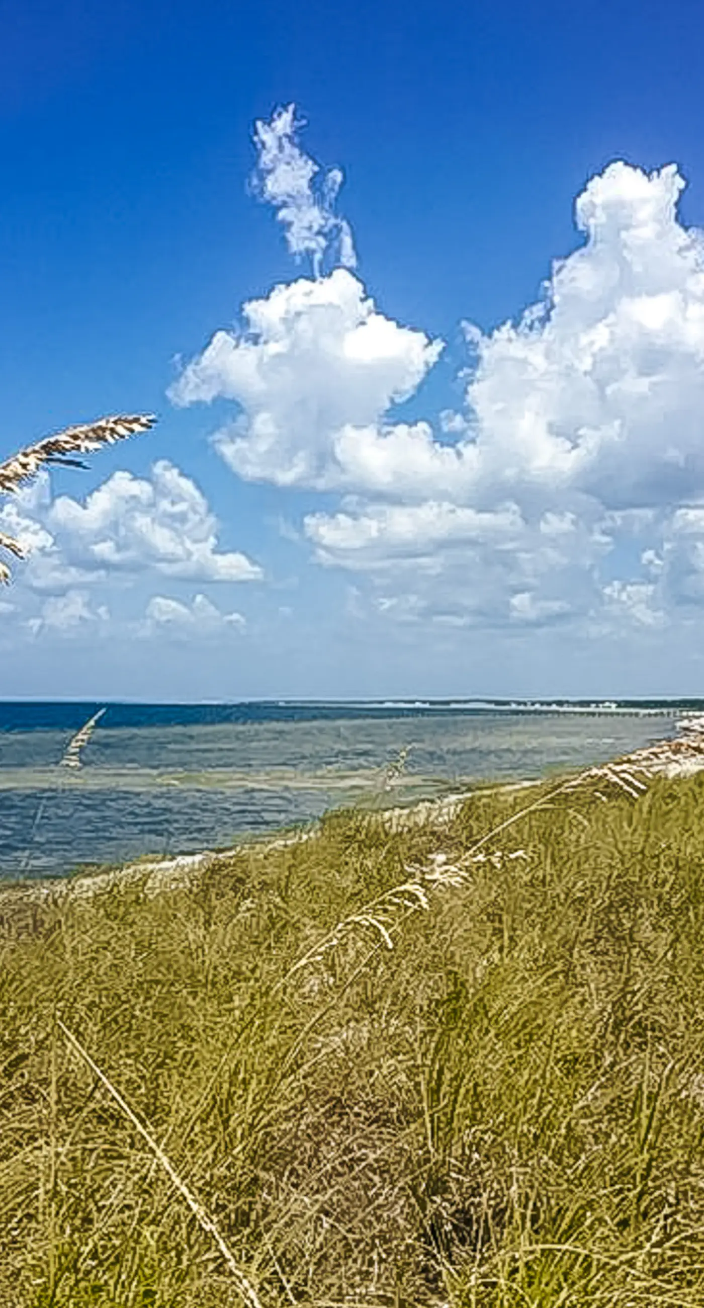 Dog-friendly home & casita with pool & beach access, central AC, & W/D