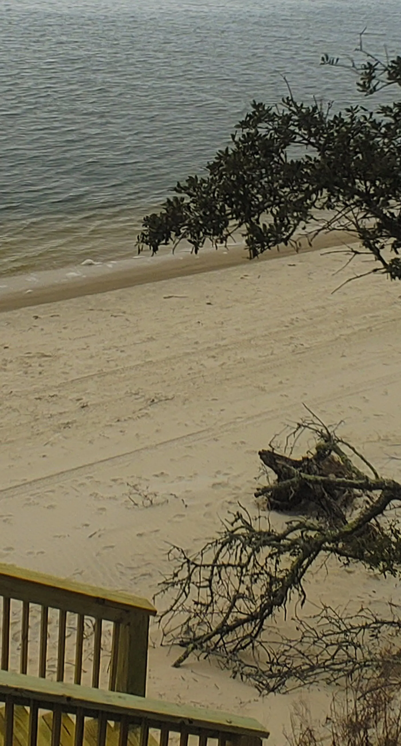 Dog-friendly oceanfront home with a hot tub, washer&dryer & central AC