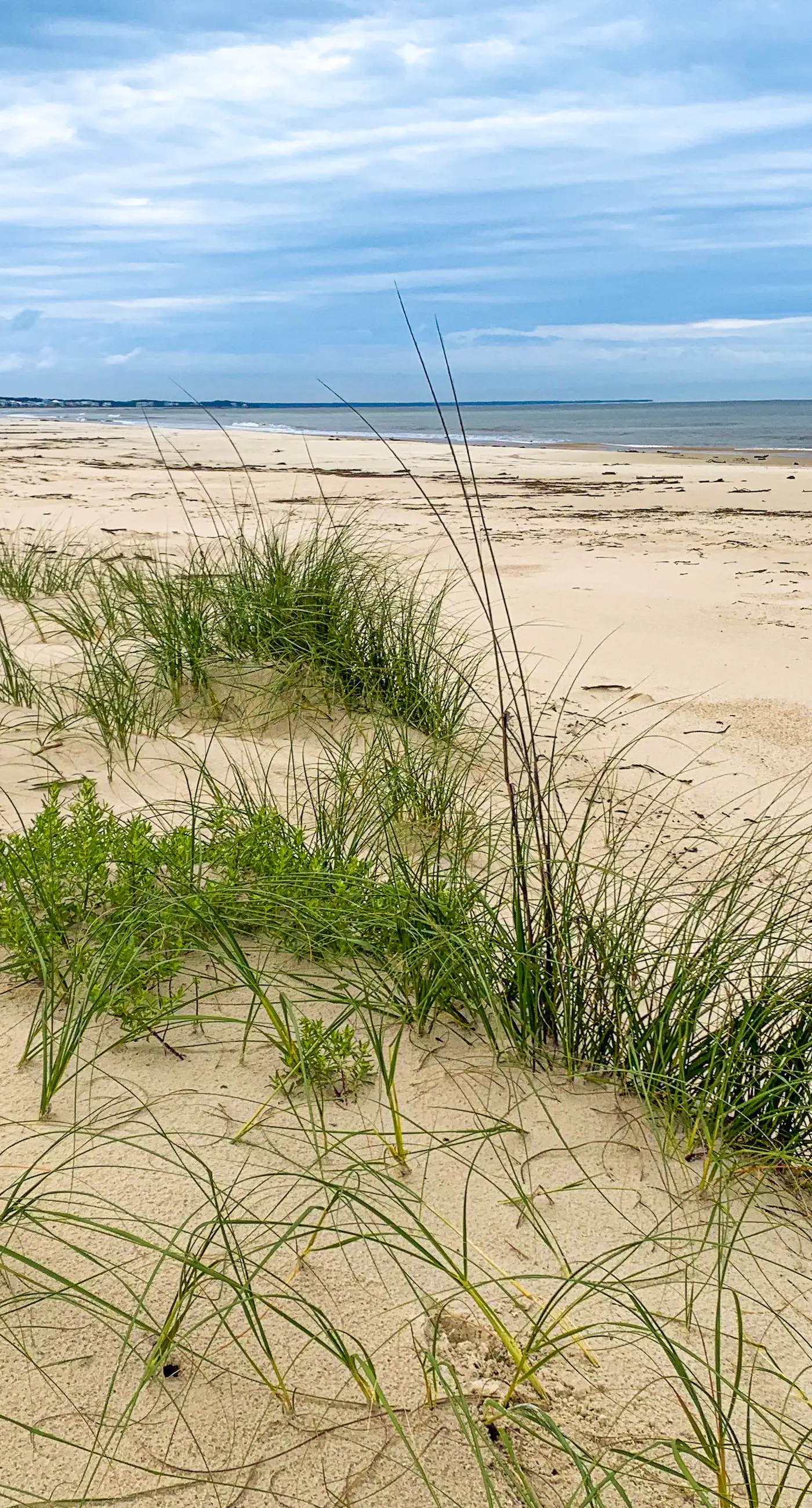 Dog-friendly oceanfront home with a hot tub, washer&dryer & central AC