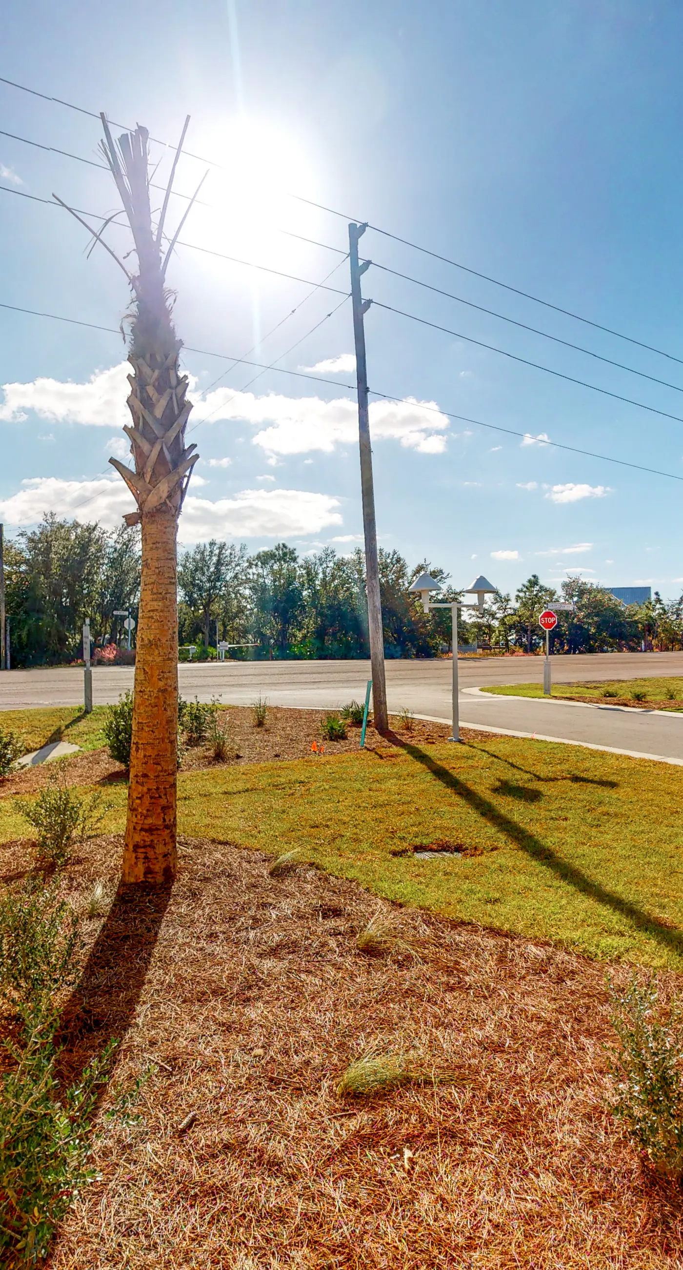 Spacious home steps from the beach with fast WiFi & washer/dryer