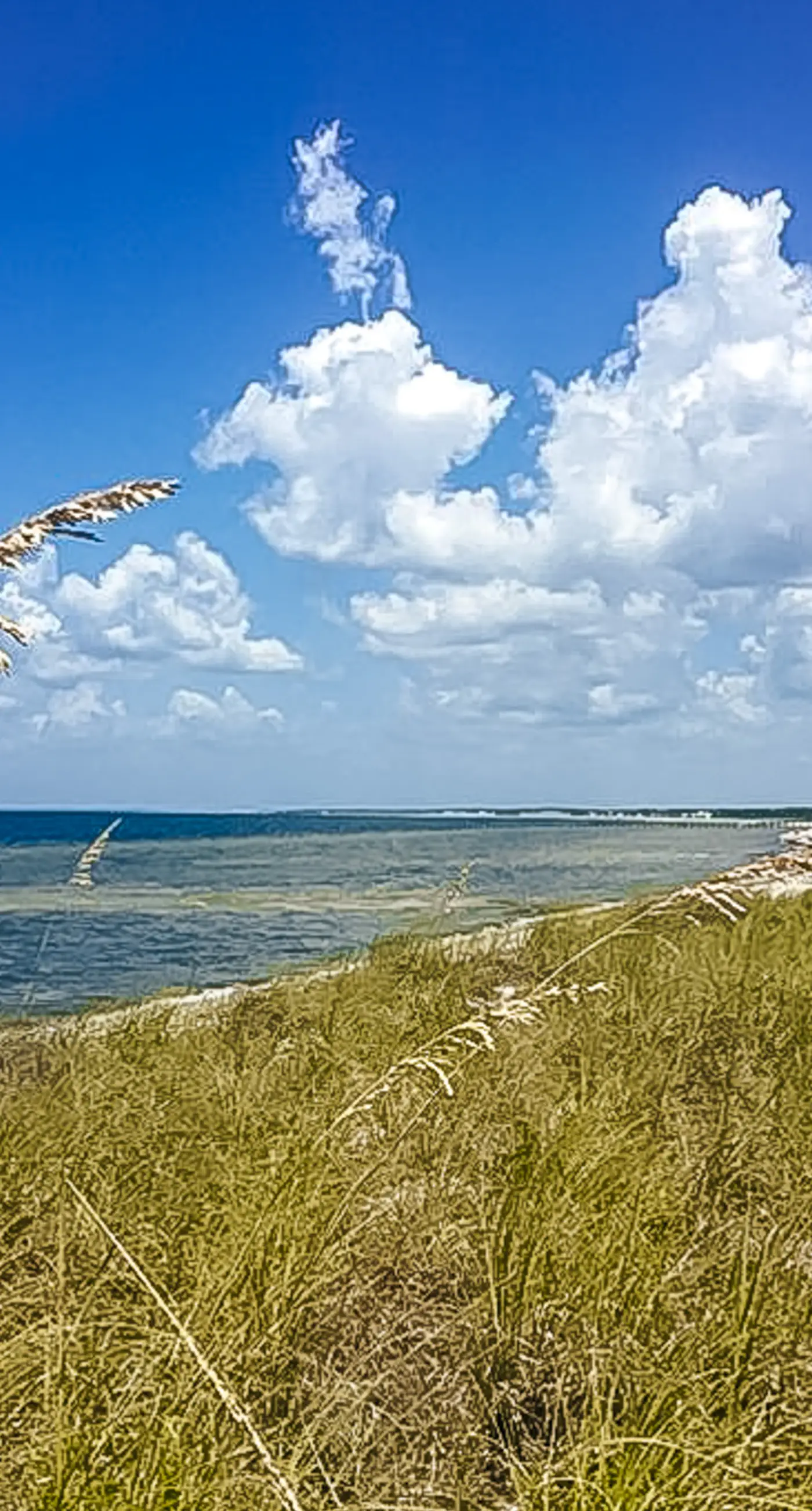 Spacious home steps from the beach with fast WiFi & washer/dryer