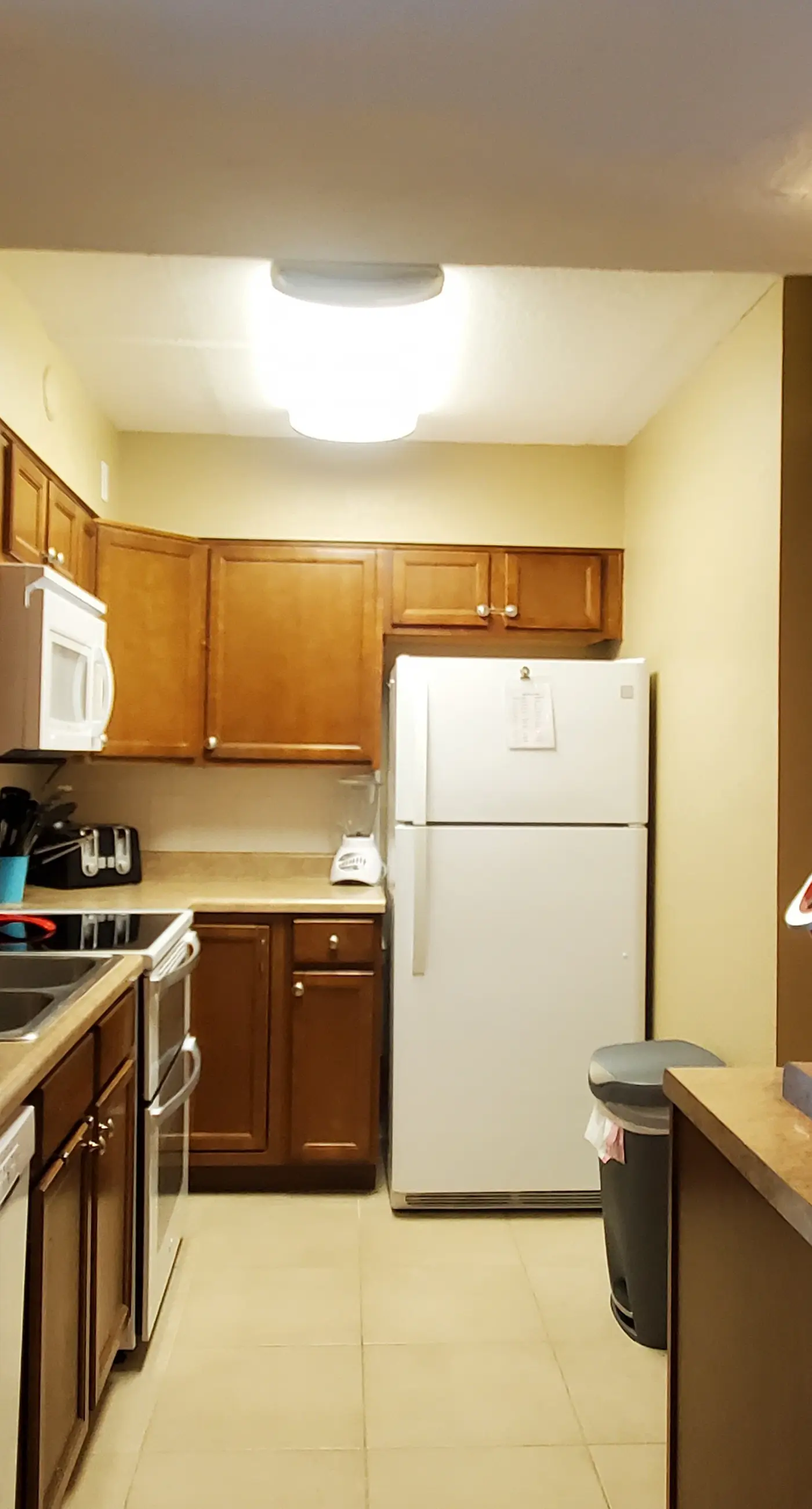 Island Echos 3G. Ocean view condo steps from the sand with balcony, pool & tennis