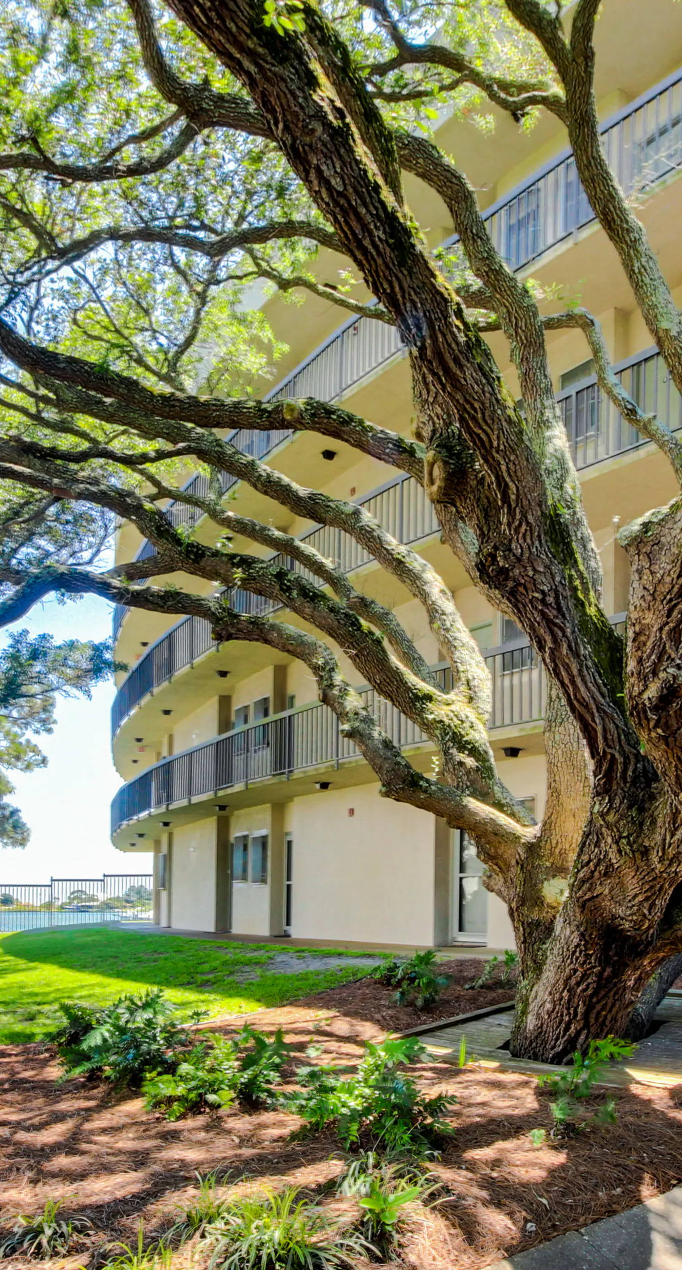 Bright, second-floor studio with high-speed WiFi & pool view - walk to the bay