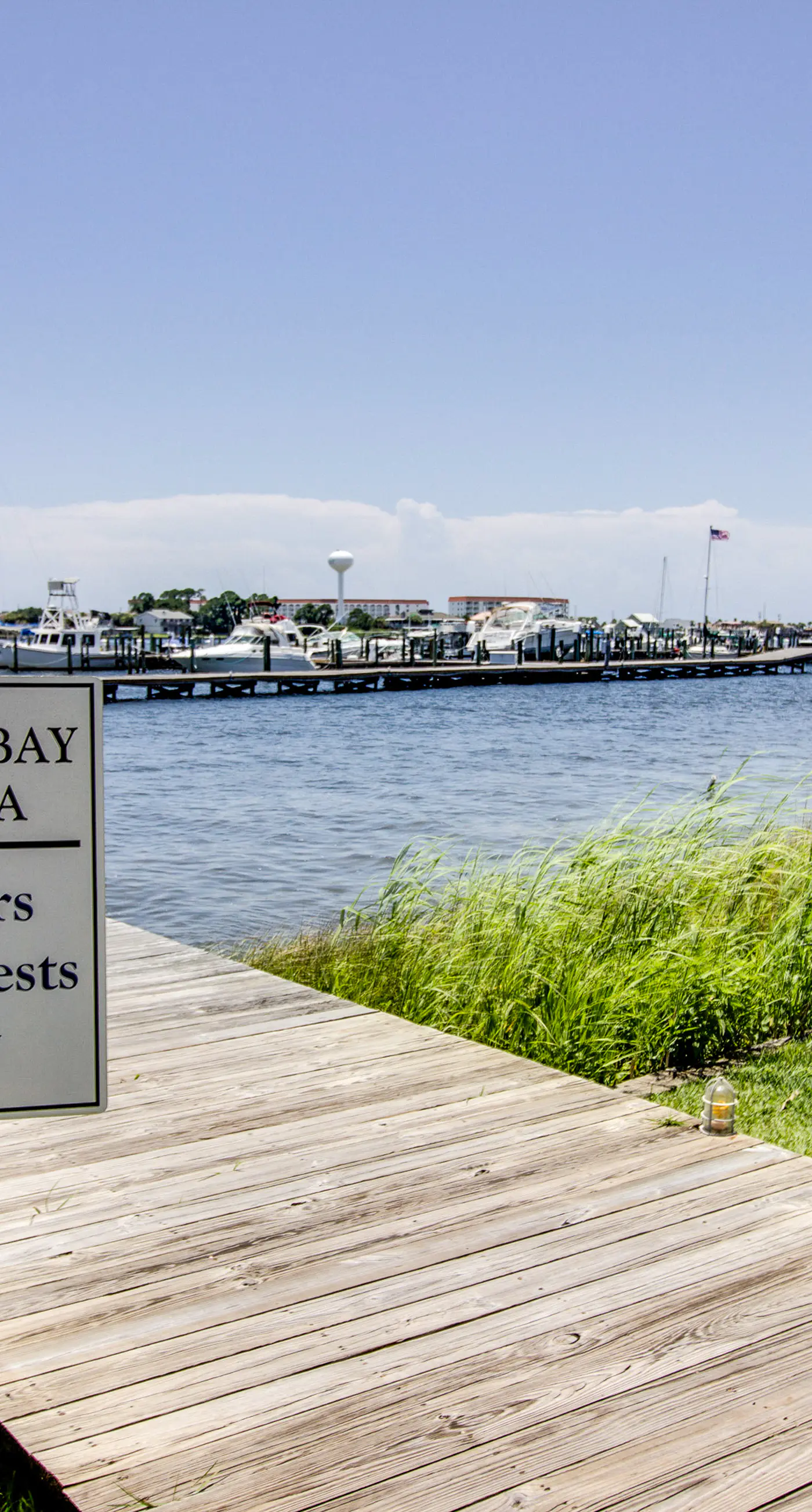 Bright, second-floor studio with high-speed WiFi & pool view - walk to the bay