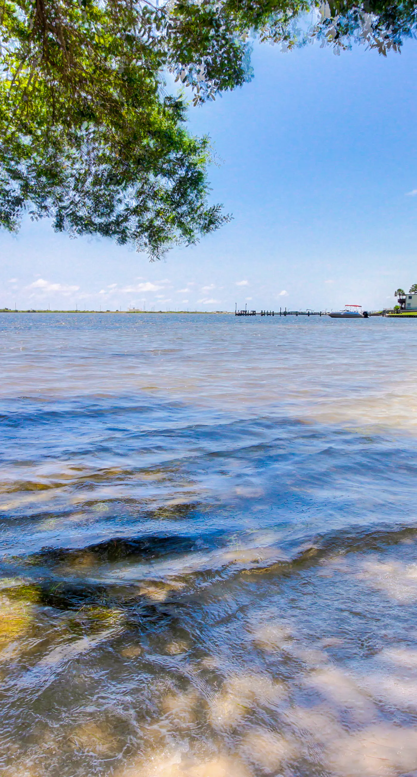 Bright, second-floor studio with high-speed WiFi & pool view - walk to the bay