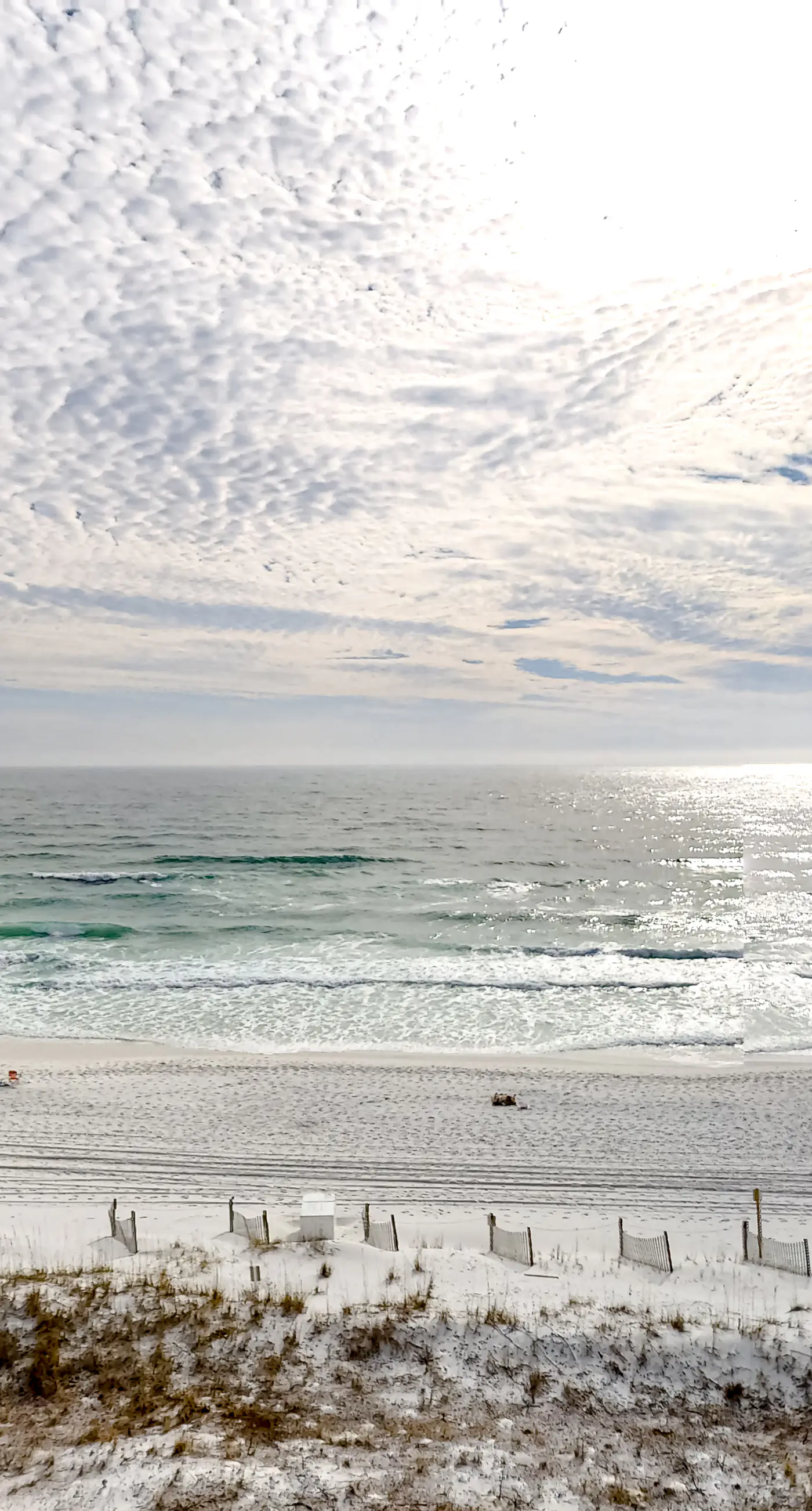 Cozy beachfront condo with beach service, pool & hot tub, near shopping & dining