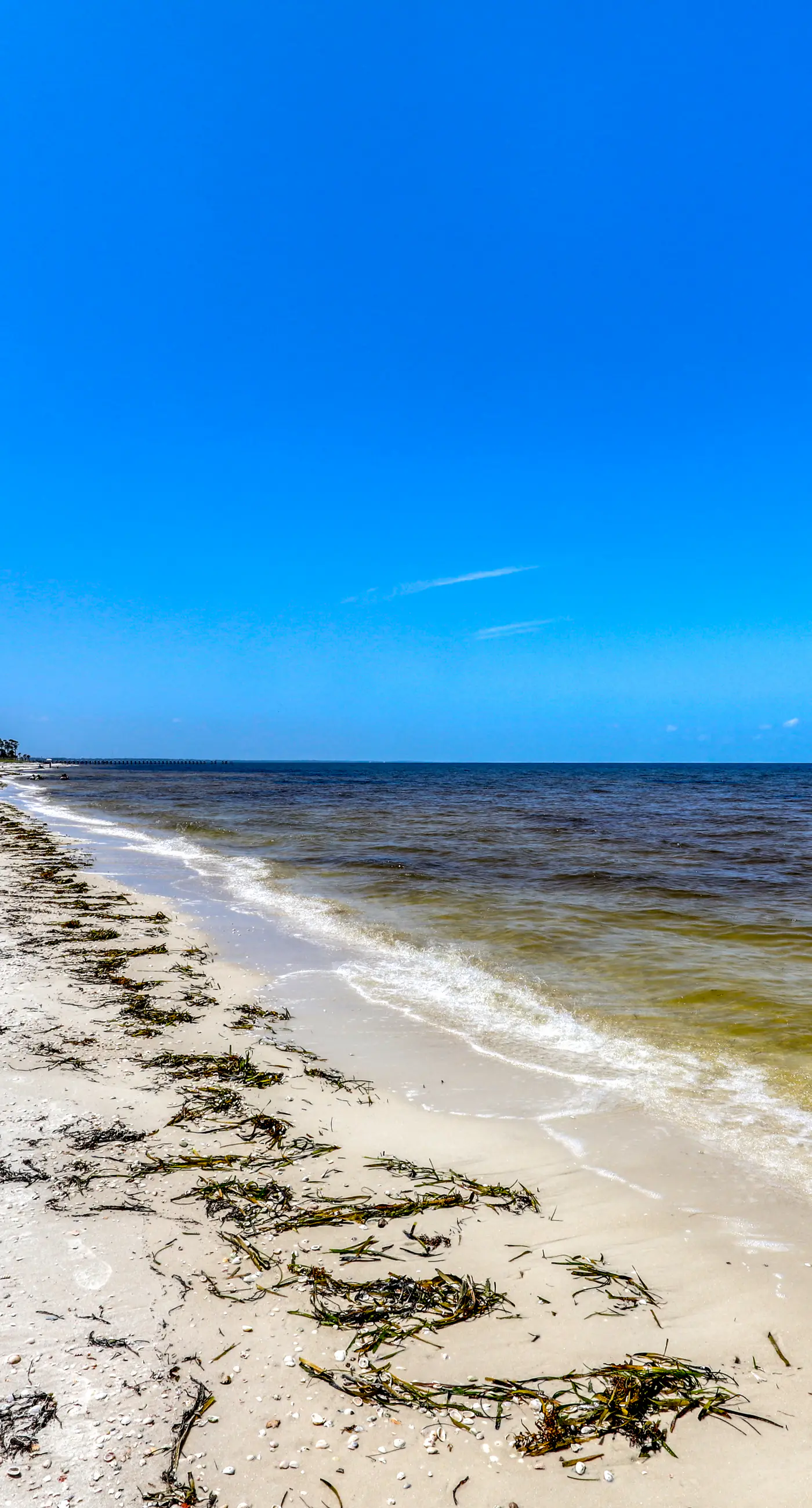 Lovely Home w/ Screened-In Porches, Balcony & Shared Pool - Walk to the Beach
