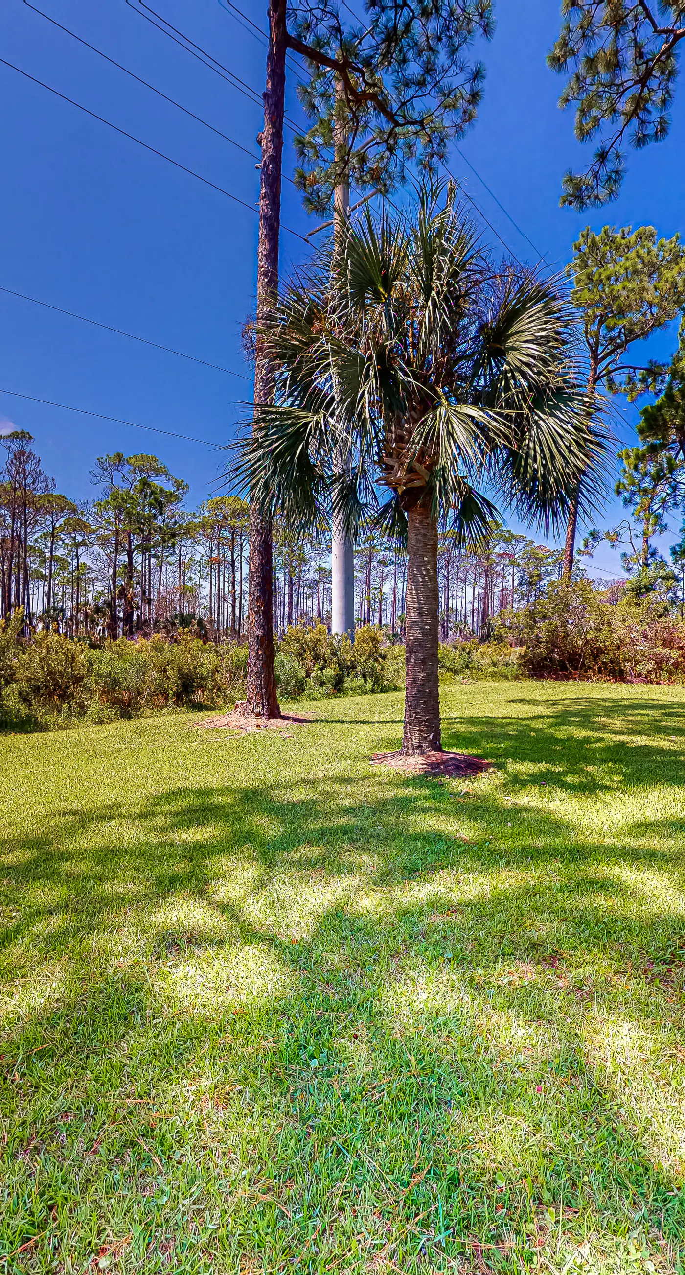 Inviting home near the beach with large decks & charming interior - dog-friendly