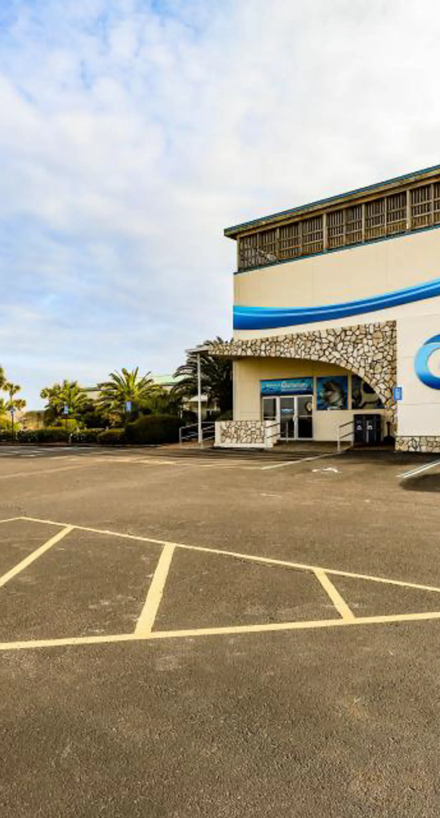 Sea Oats 708 - 7th floor condo in beachfront complex with pool, Gulf view, W/D, & fast WiFi