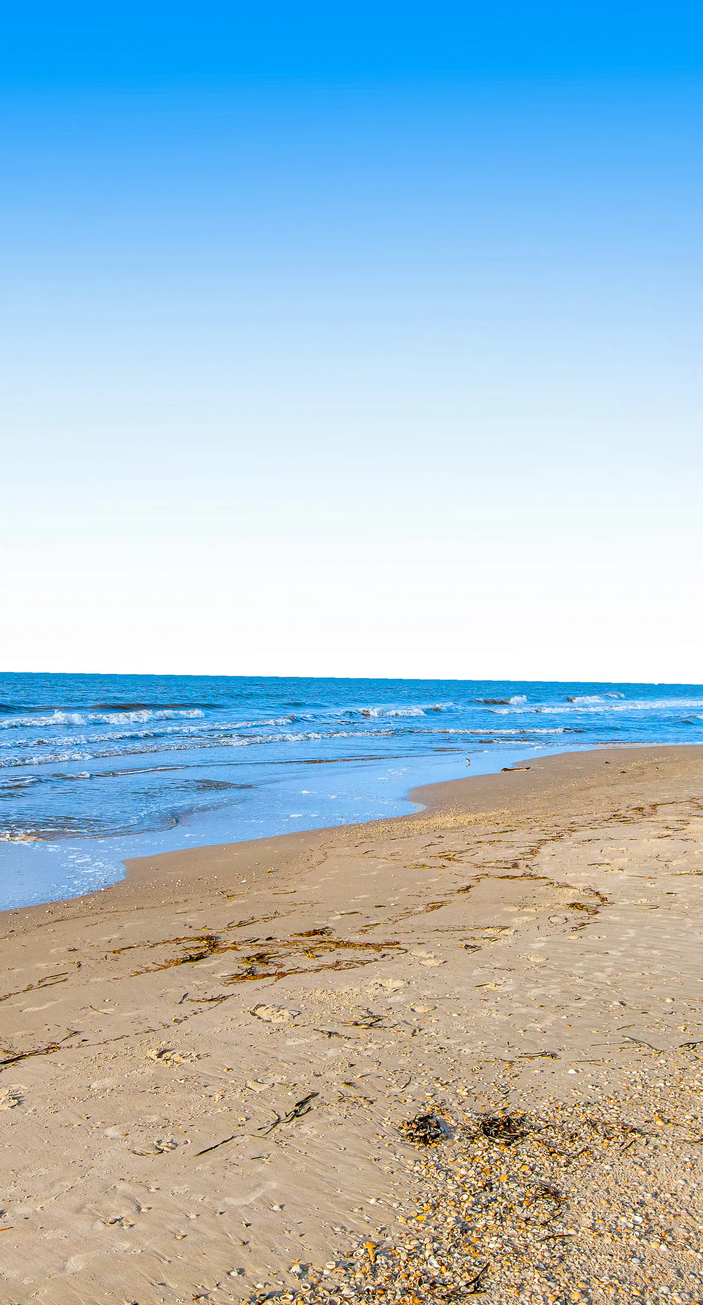 Spacious dog-friendly home with community pool, deck, & WiFi - minutes to beach