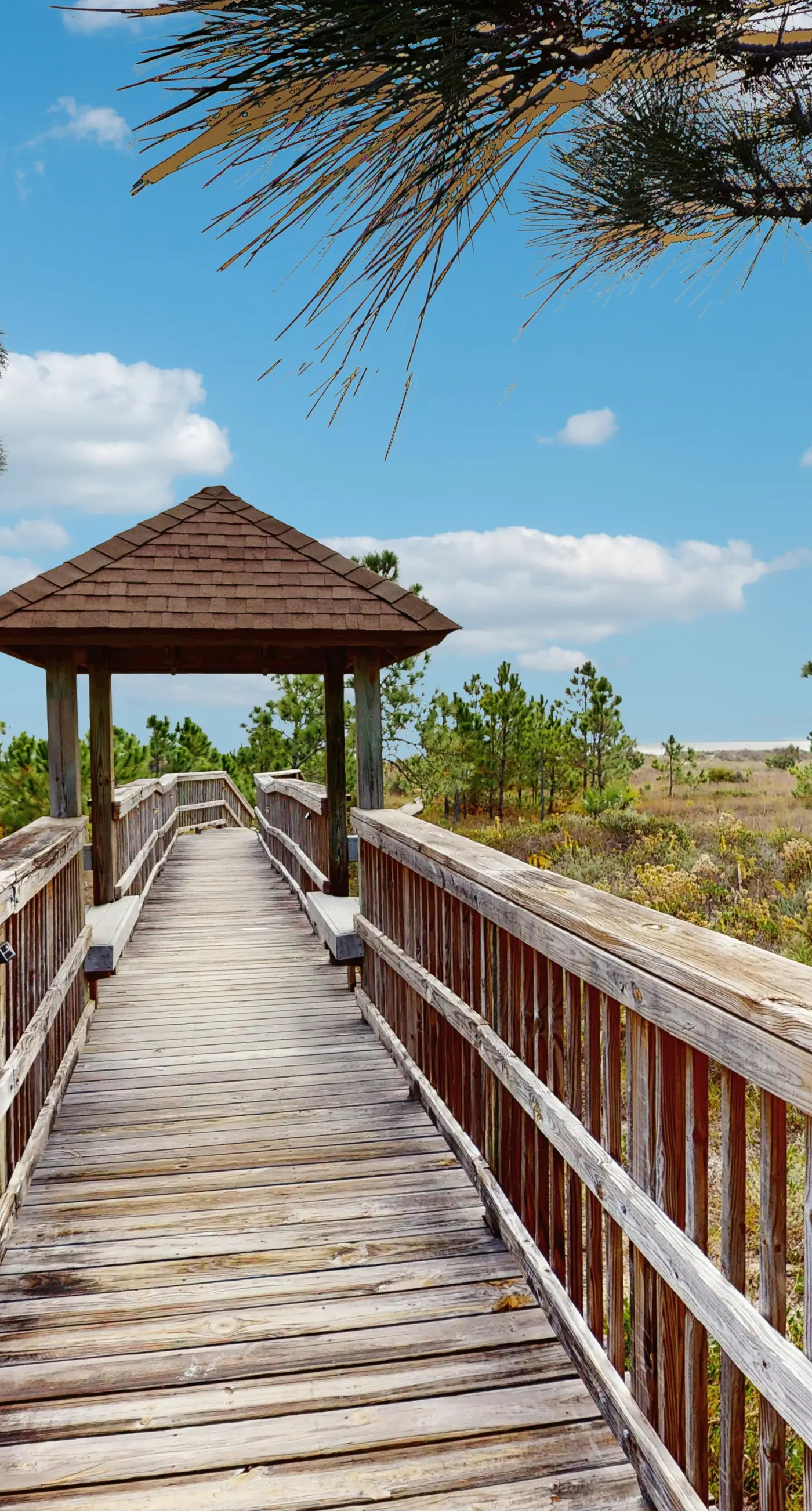 Spacious dog-friendly home with community pool, deck, & WiFi - minutes to beach
