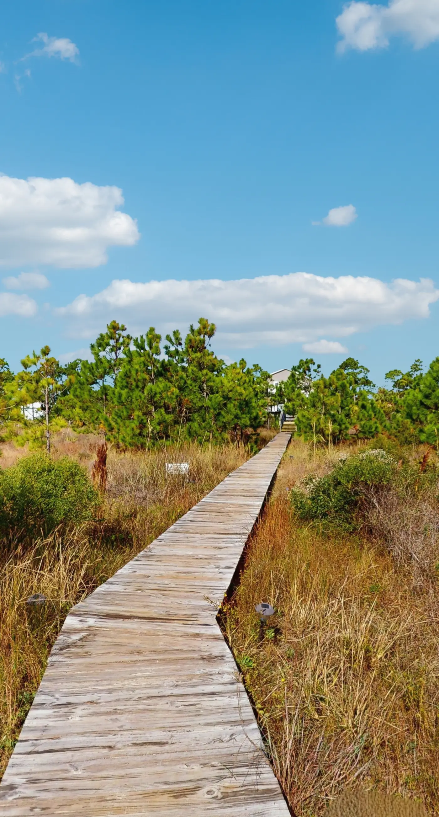 Spacious dog-friendly home with community pool, deck, & WiFi - minutes to beach