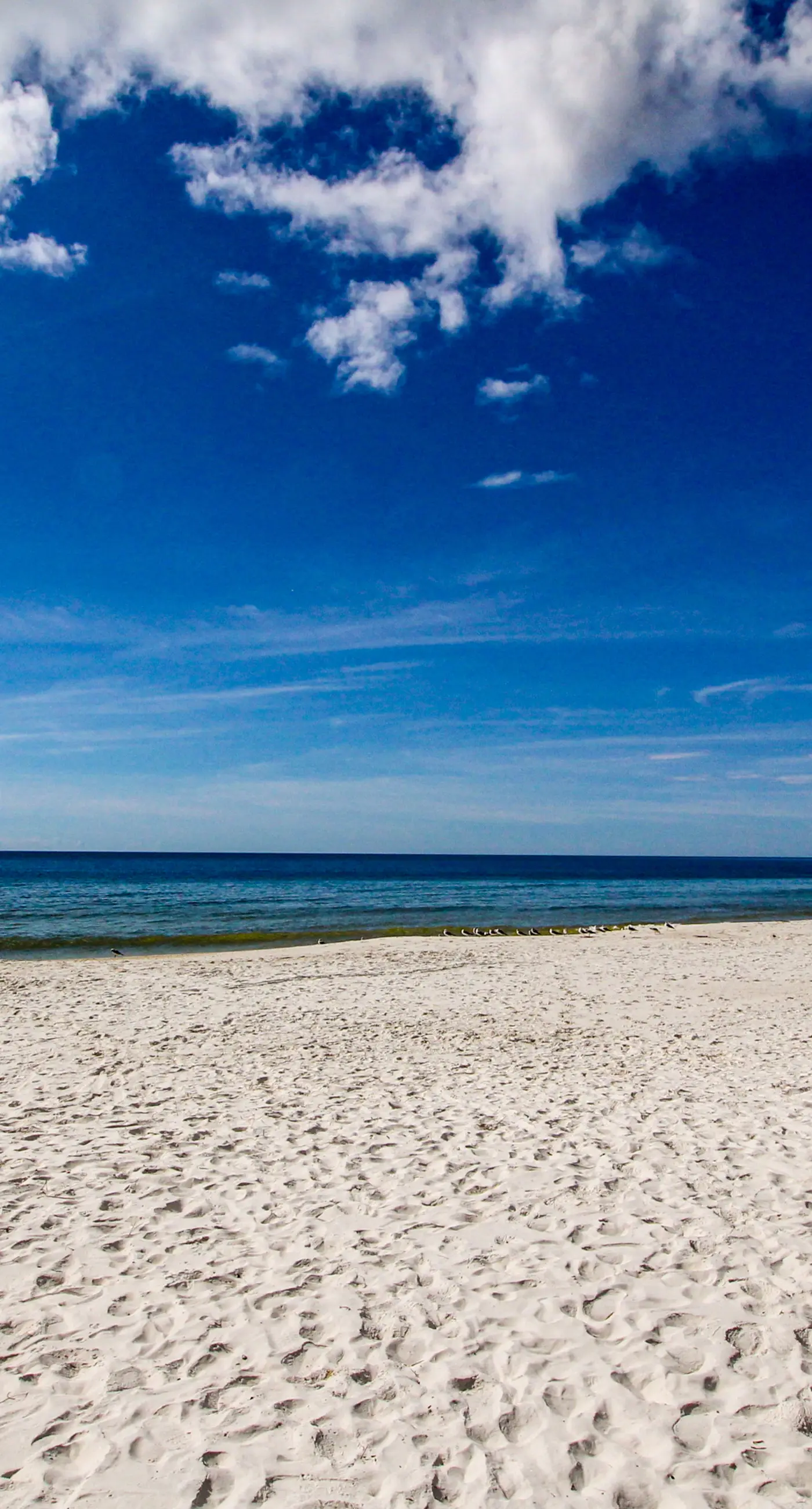 Beautiful Condo with Hot Tub & Pool - Walk to Beach, Snowbirds Welcome