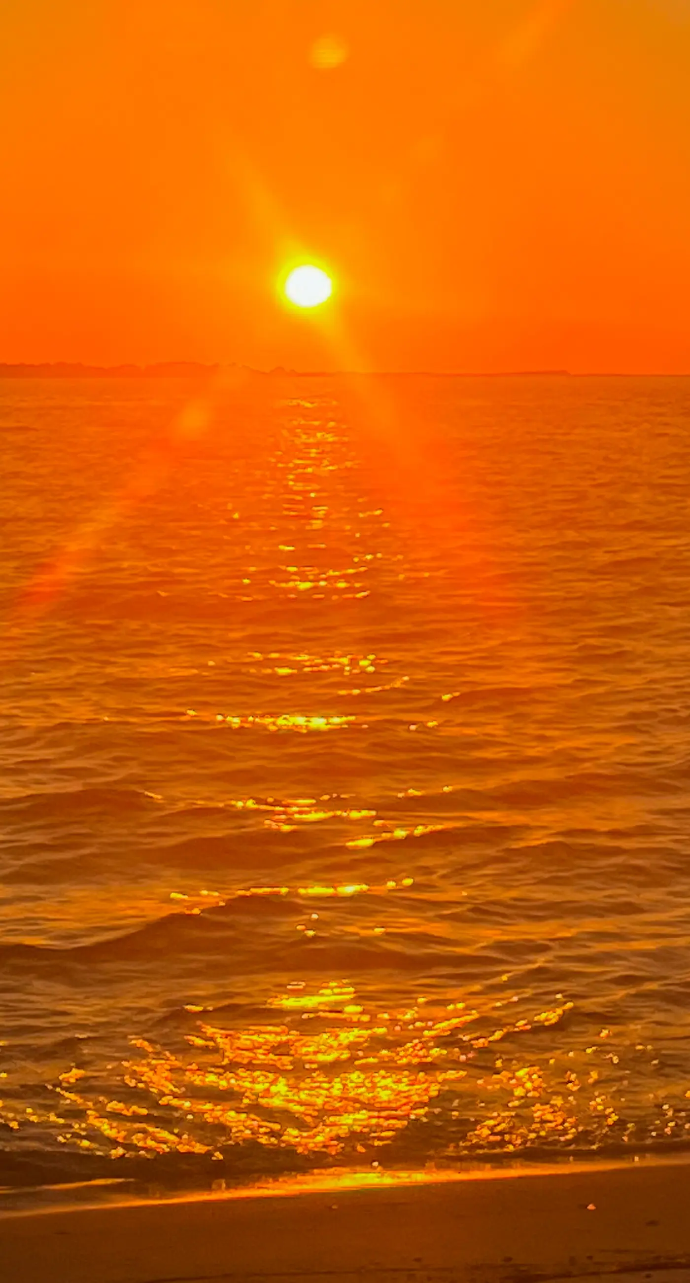 Bay-side, dog-friendly getaway with pool & themed kids rooms