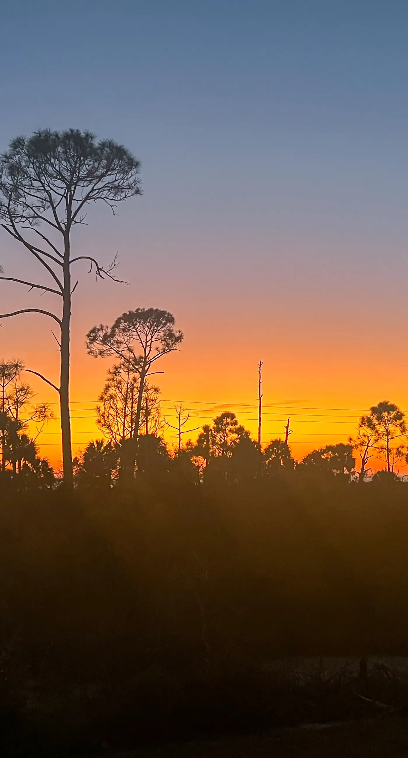 Bay-side, dog-friendly getaway with pool & themed kids rooms