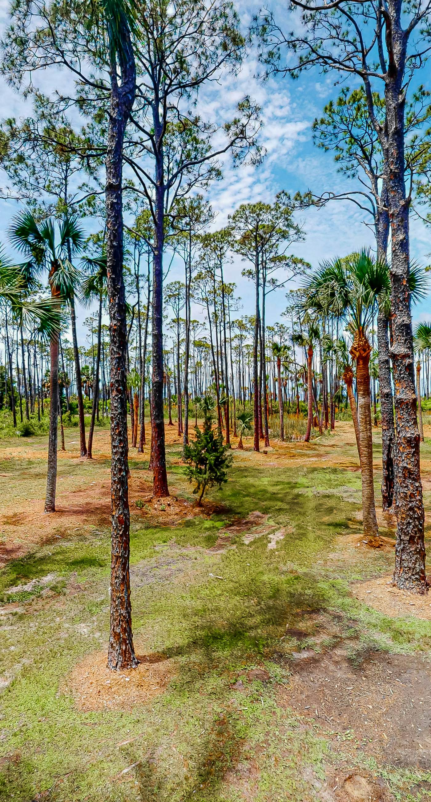 Snowbird-friendly home with a deck, hot tub, washer/dryer & central AC