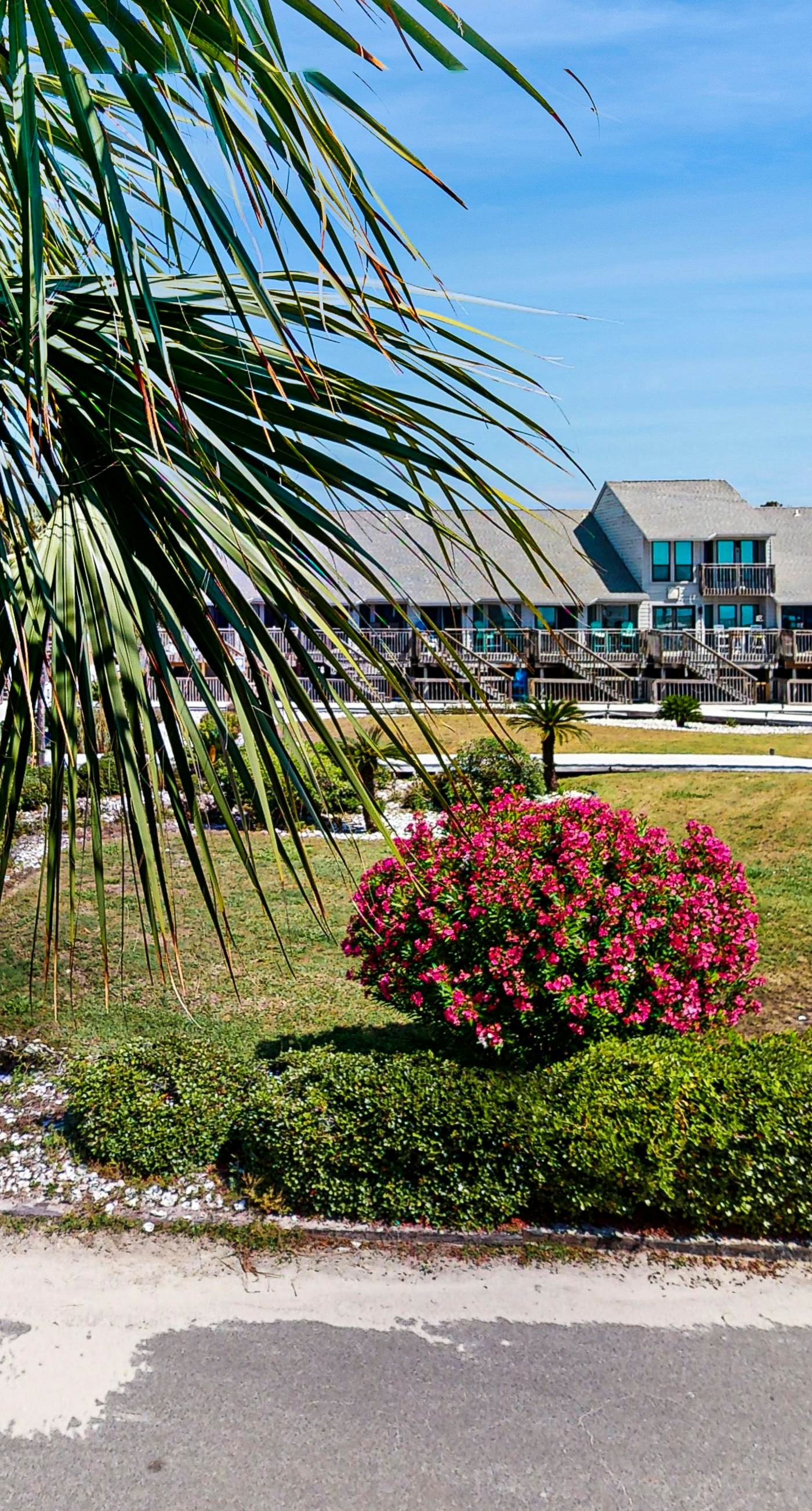 Dog-friendly beachfront townhouse with comunity pool, washer/dryer, central AC