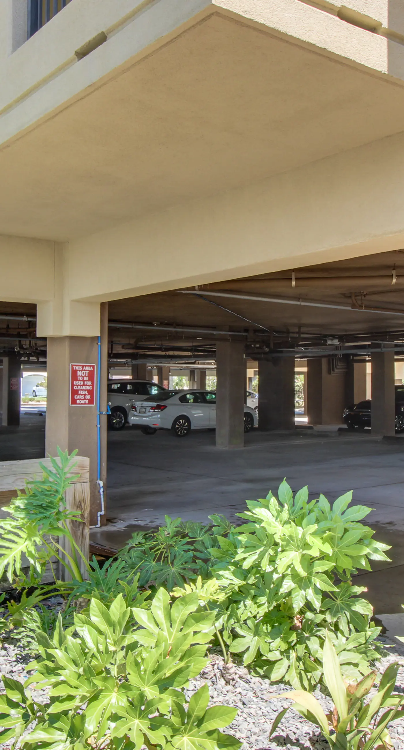 The Club 3L - Renovar at The Club