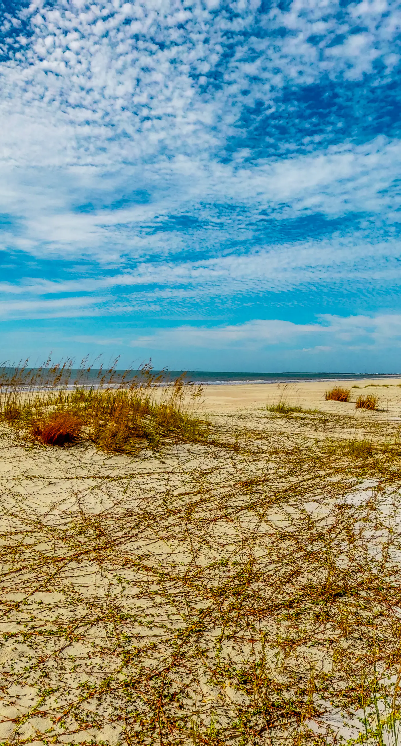 Gulf-front home with WiFi, private beach boardwalk & views - dog-friendly