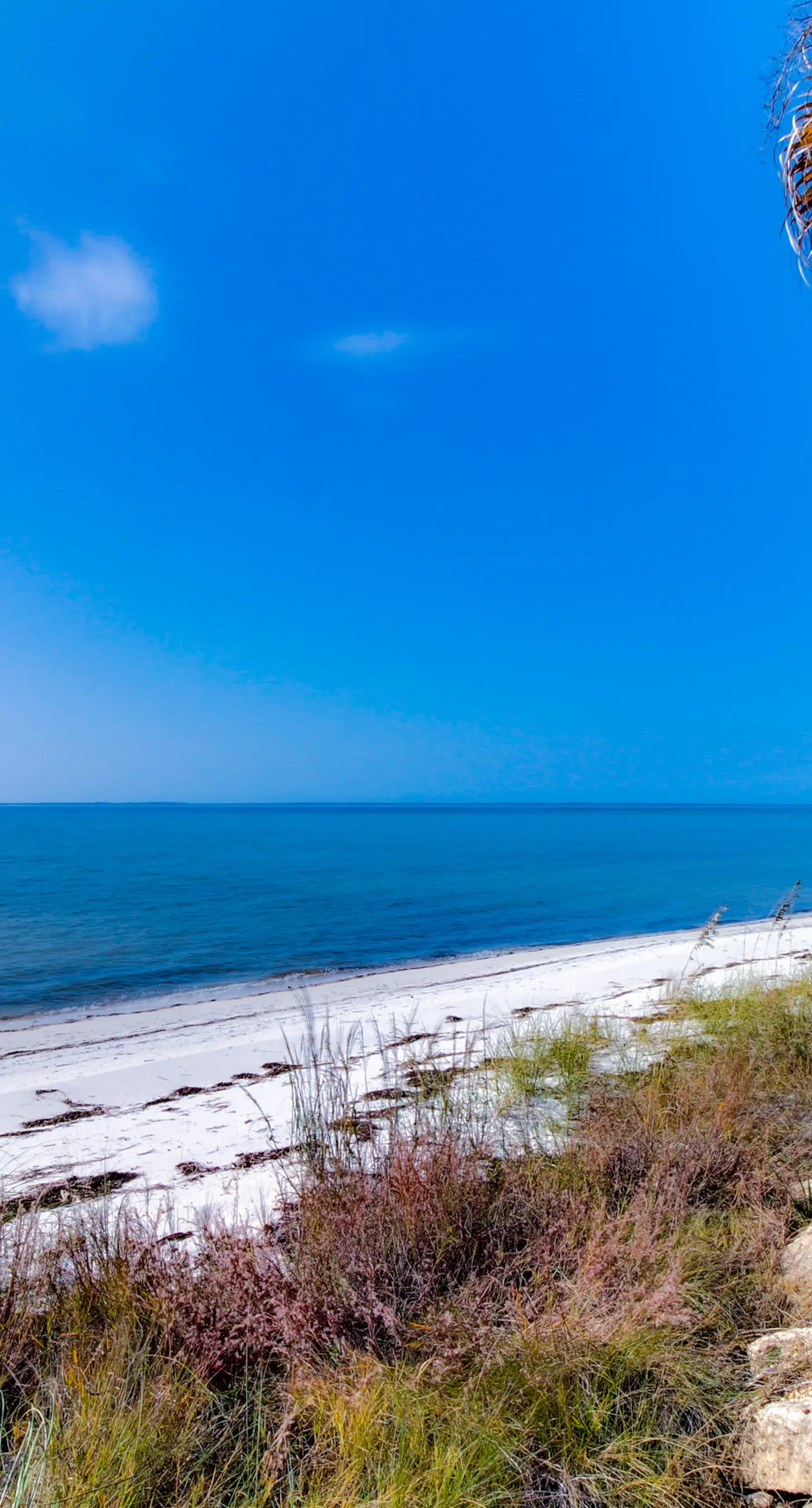 2-story beach cottage with pools, hot tub, gym, patio, & AC - dog-friendly