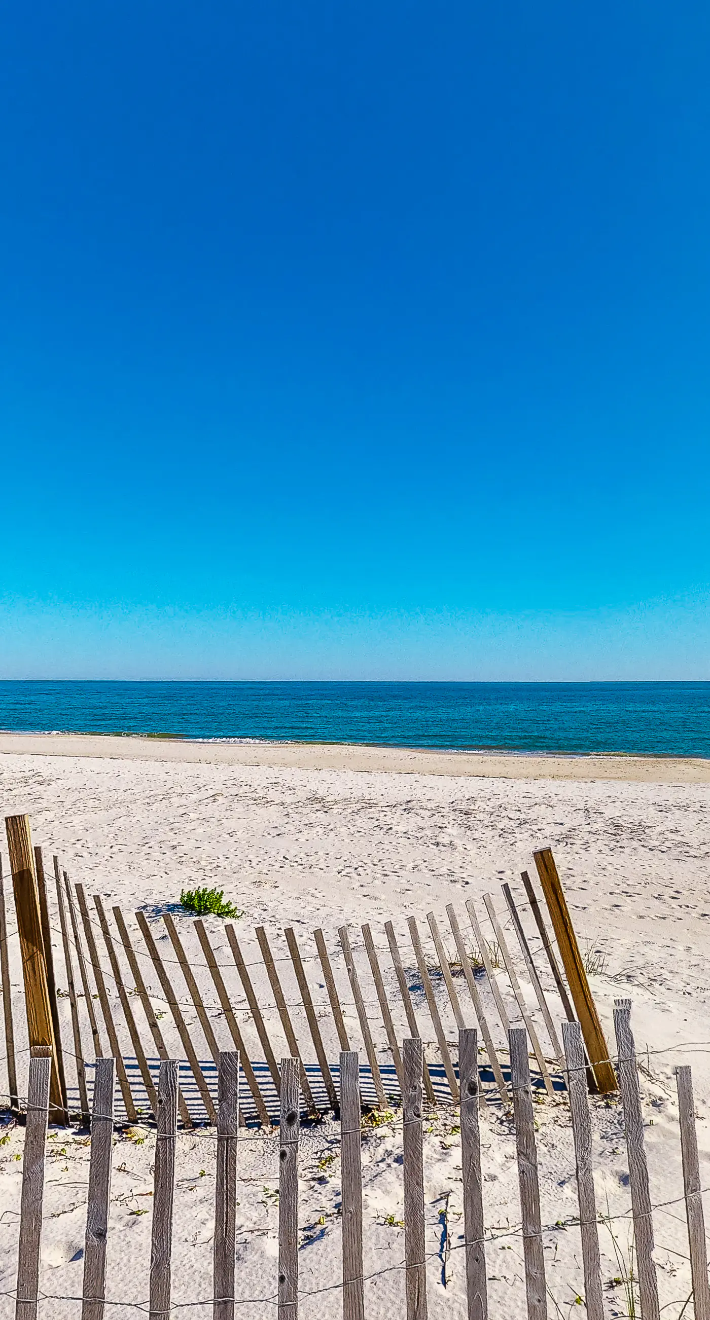 Beach Across the Street! Dog-Friendly Home w/ Private Pool, AC, WiFi & Games!