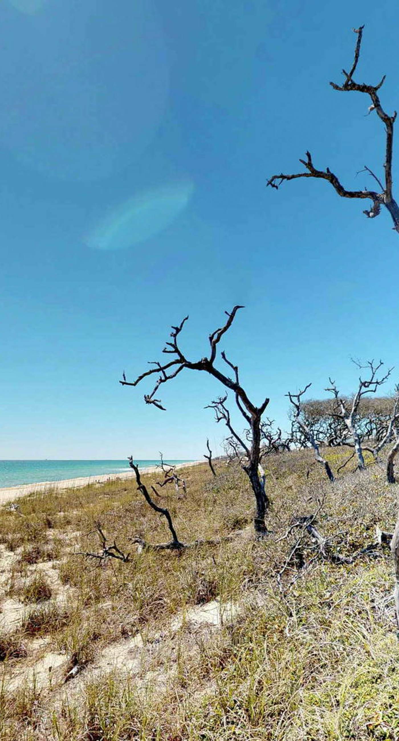 Beachfront home with elevator, beach gear, on-site neiborhood pool, tennis & fitness room