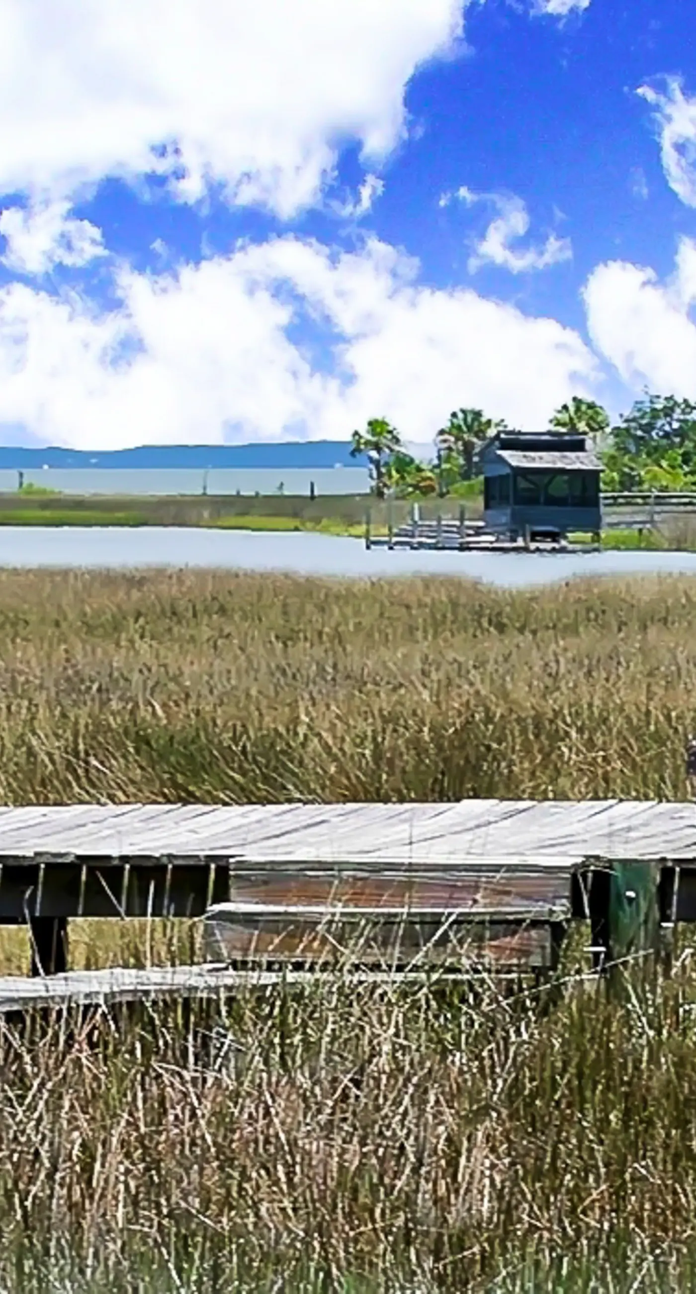 Charming cottage, walk to Gulf with shared pools, hot tub, & central AC