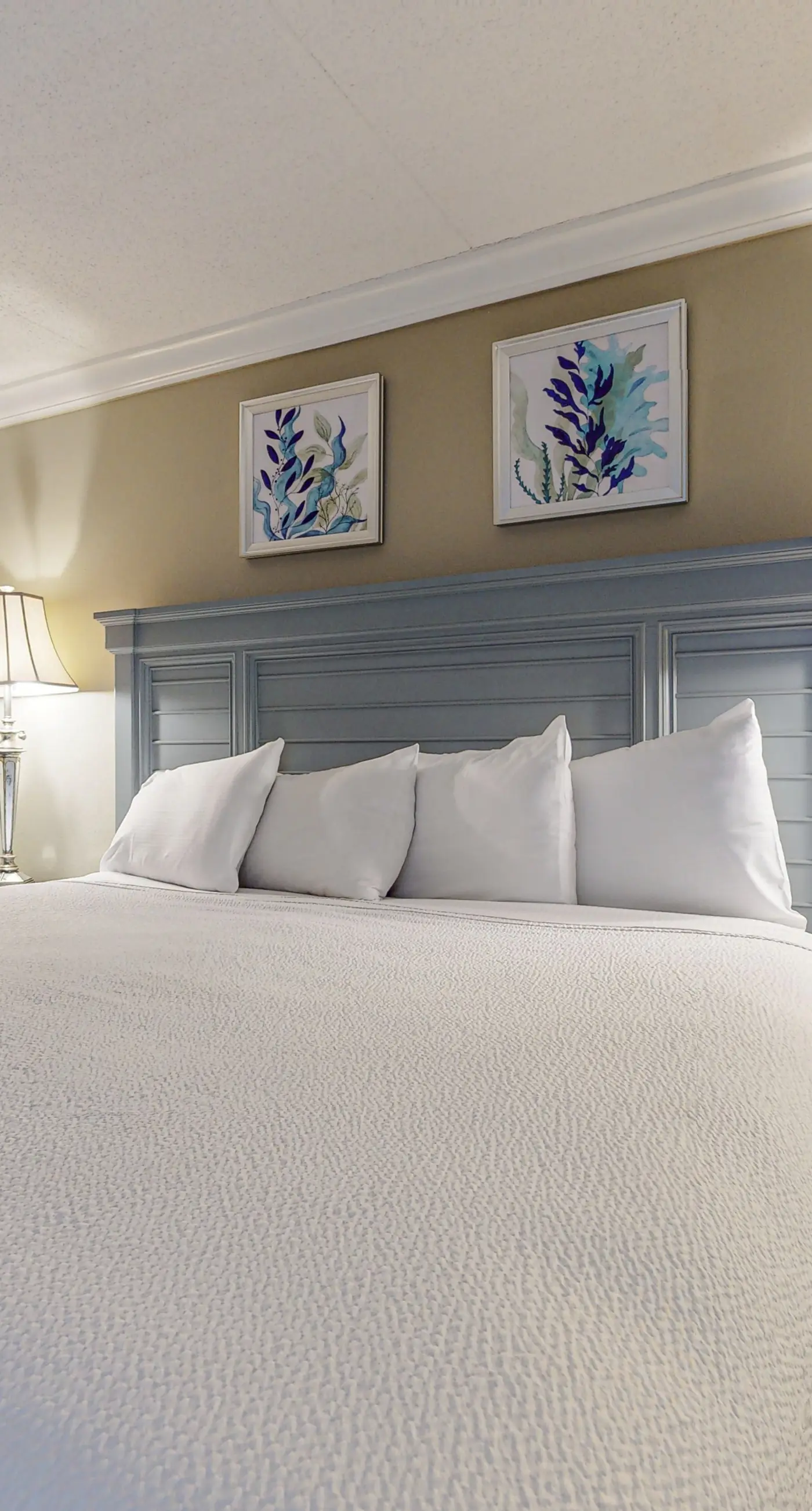 Island Echos 6M. Cozy beachfront home with shared pool, private balcony and beach access