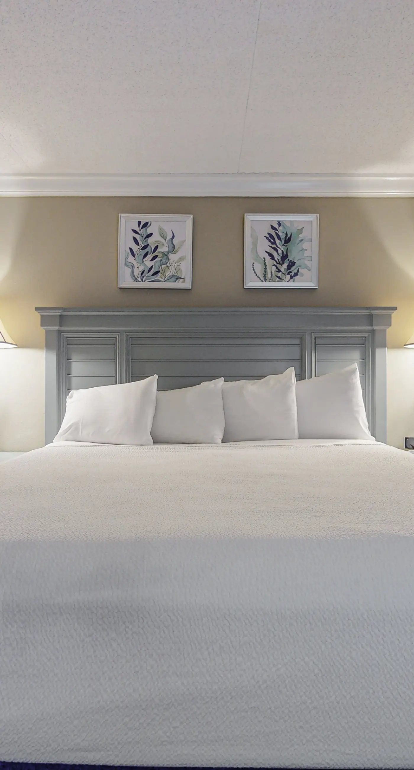 Island Echos 6M. Cozy beachfront home with shared pool, private balcony and beach access