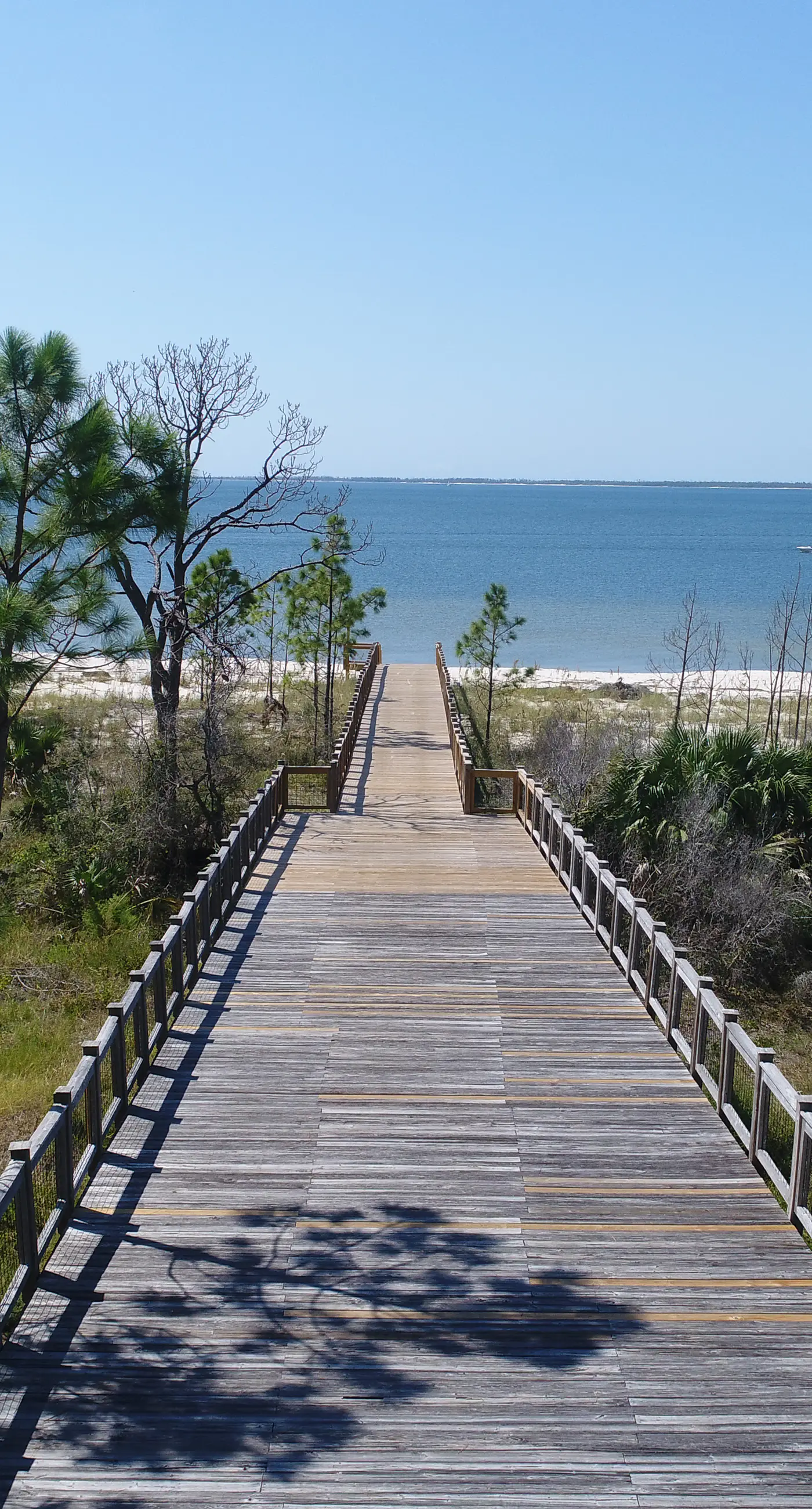 Elegant Coastal Home w/Shared Pool, Tree-Lined View, 6-Minute Walk to the Beach