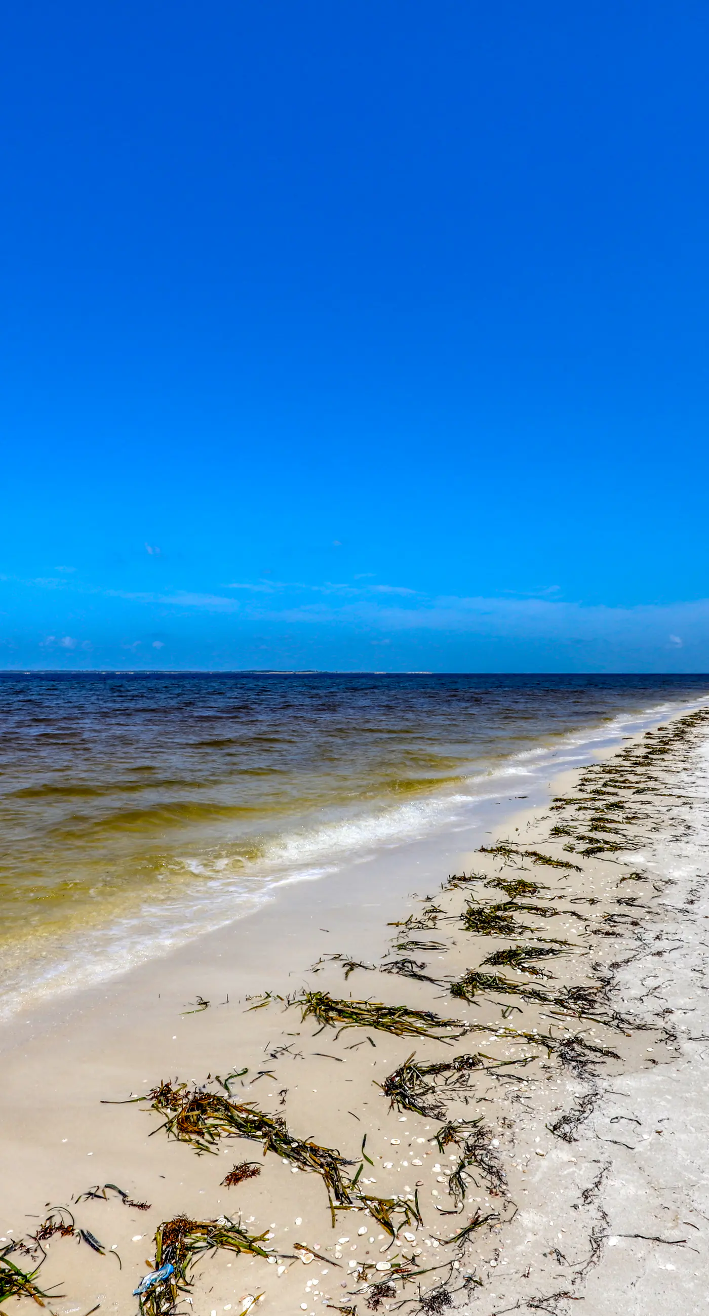 Family-Friendly Getaway w/ a Large Balcony & Patio - Steps from the Sand