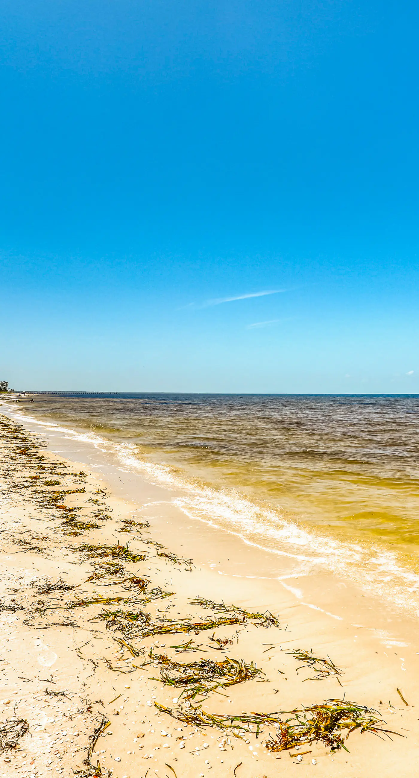 Lovely coastal home with pool access, fast WiFi, screened patio & great location