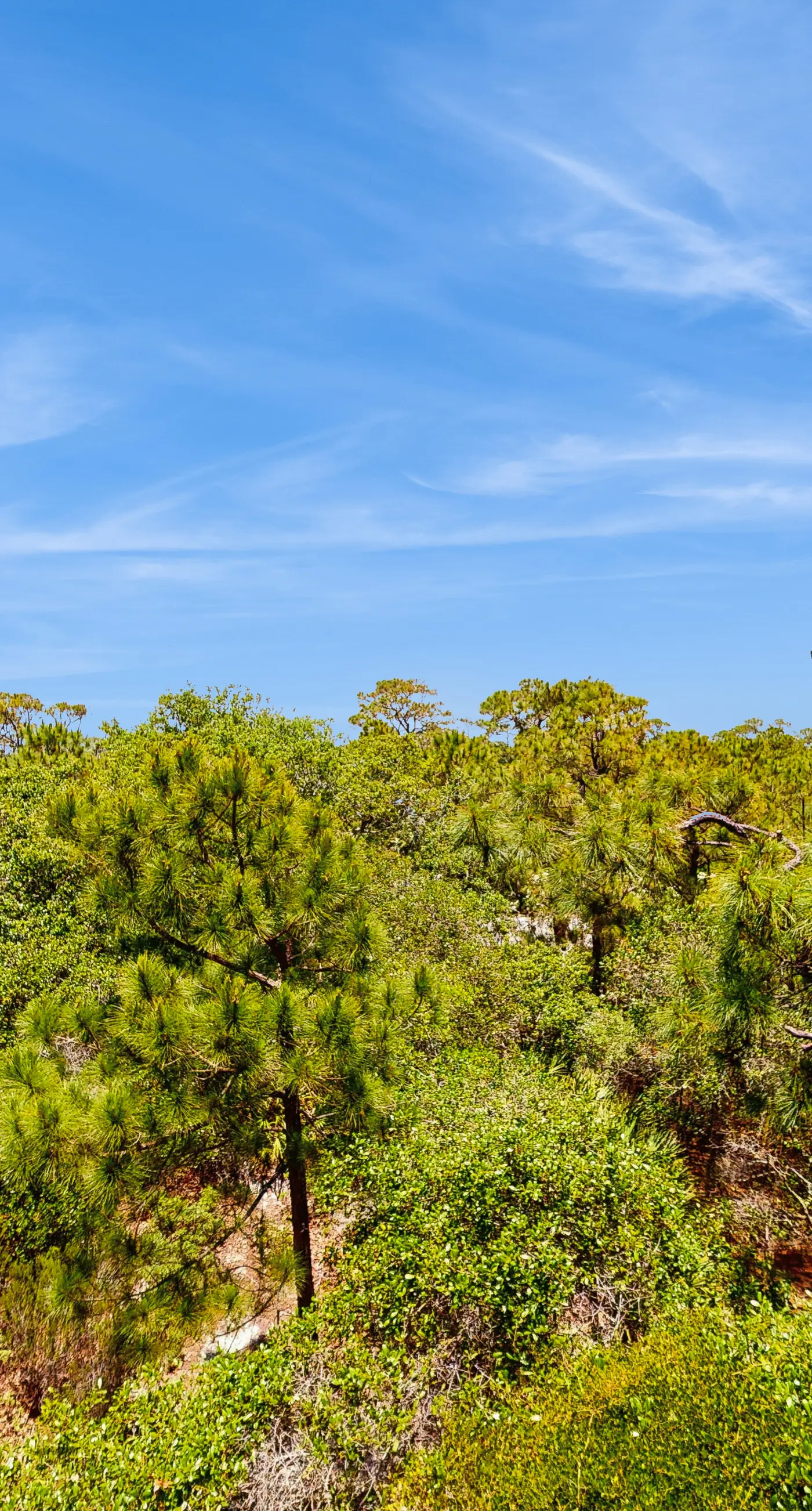 Gorgeous coastal home with plenty of space, shared pool and easy beach access