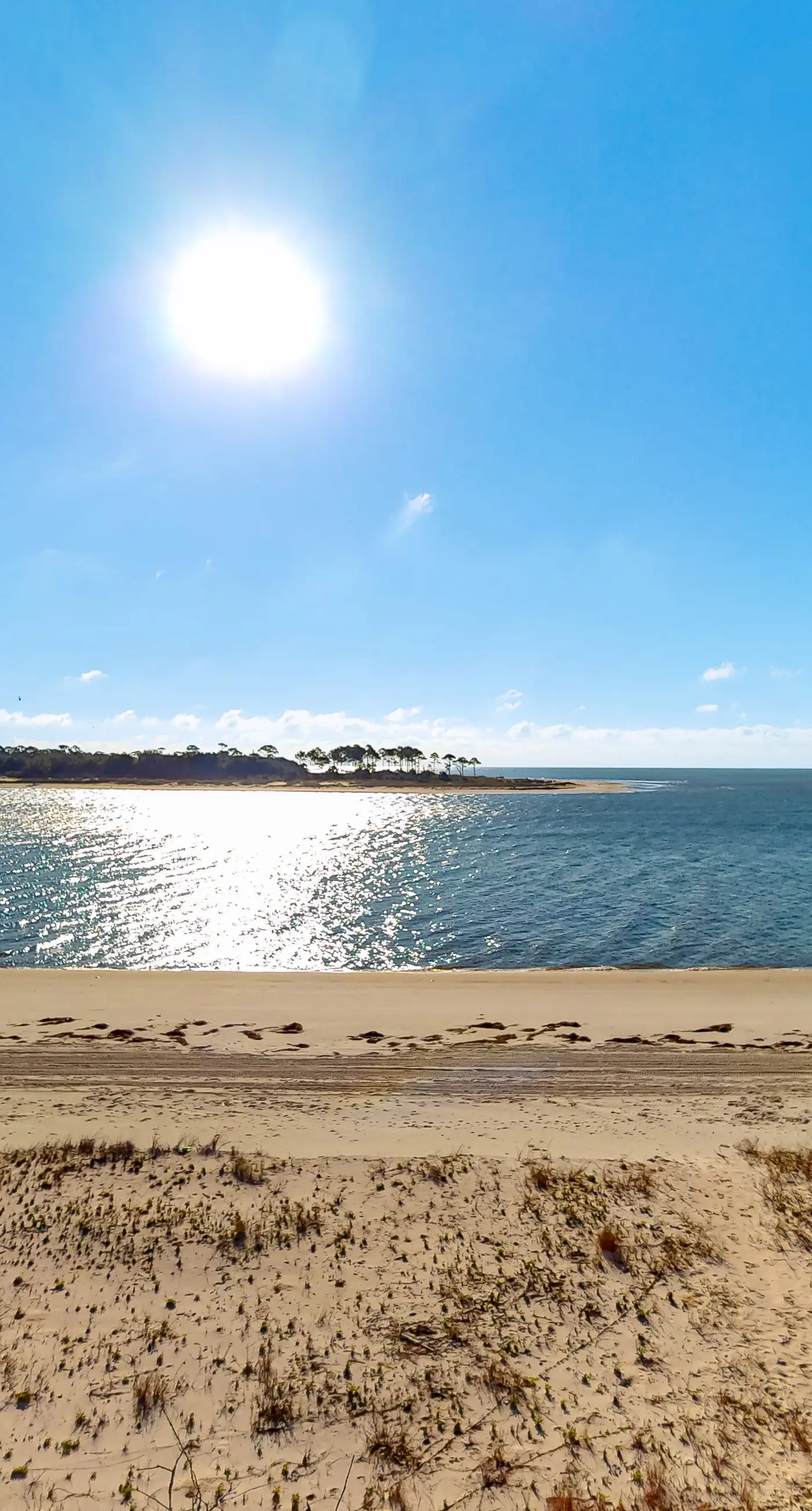 Beachfront dune cottage with deck & view of St Vincent Island