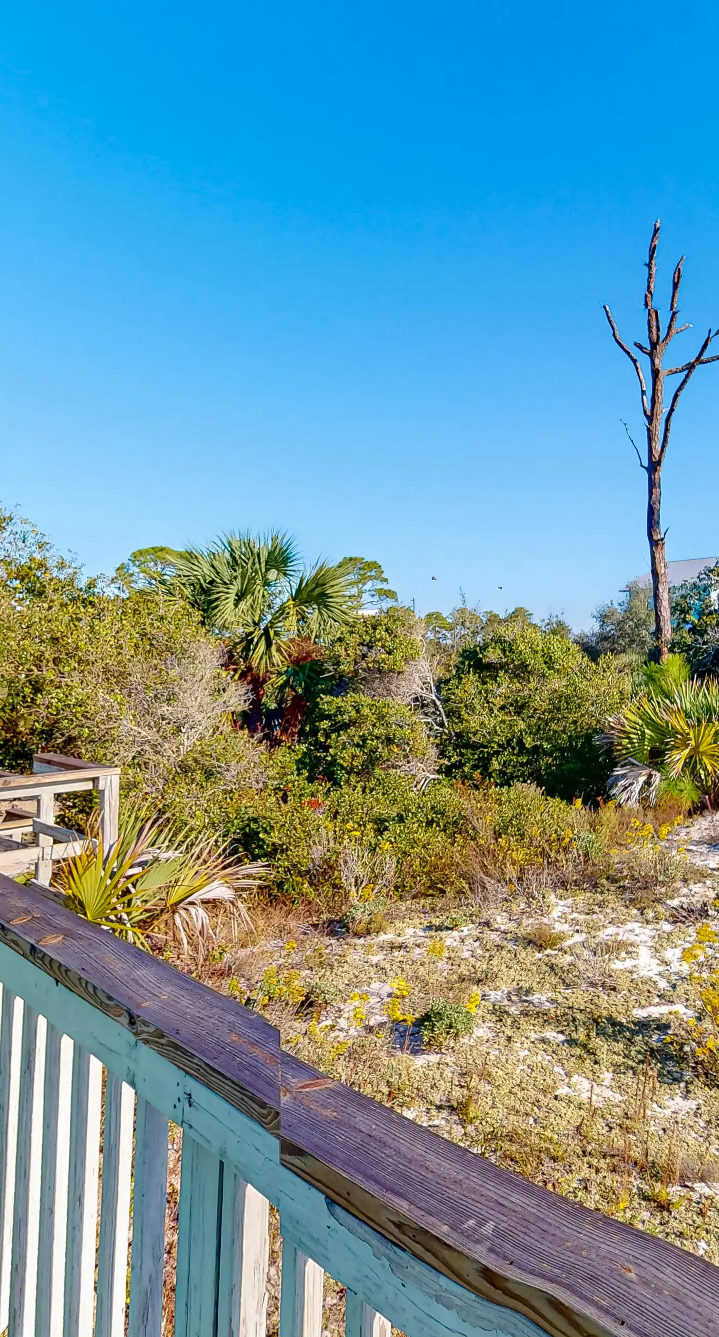 Beachfront dune cottage with deck & view of St Vincent Island