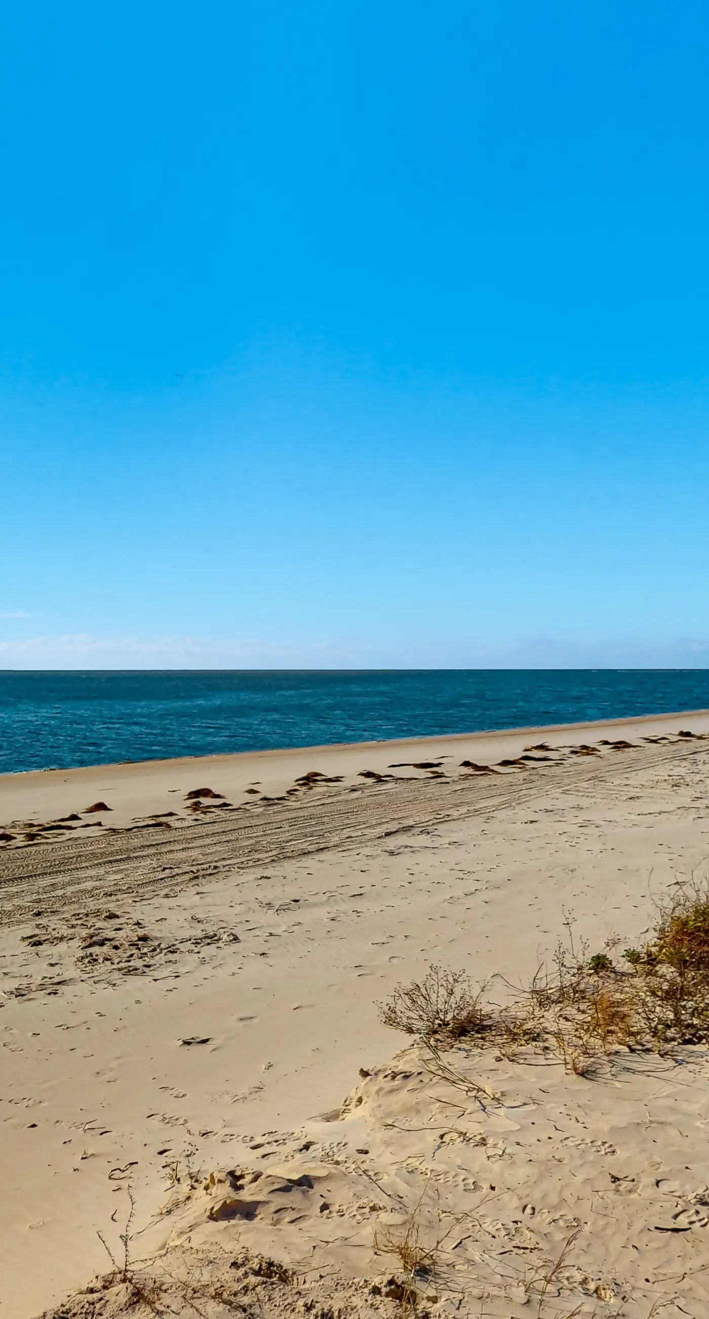 Beachfront dune cottage with deck & view of St Vincent Island