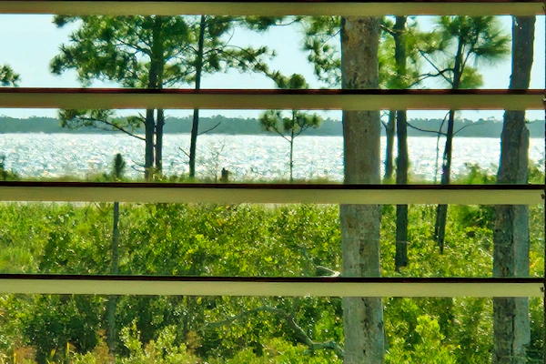 Brand-new home steps to beach with Gulf view, bikes, W/D, & pool access