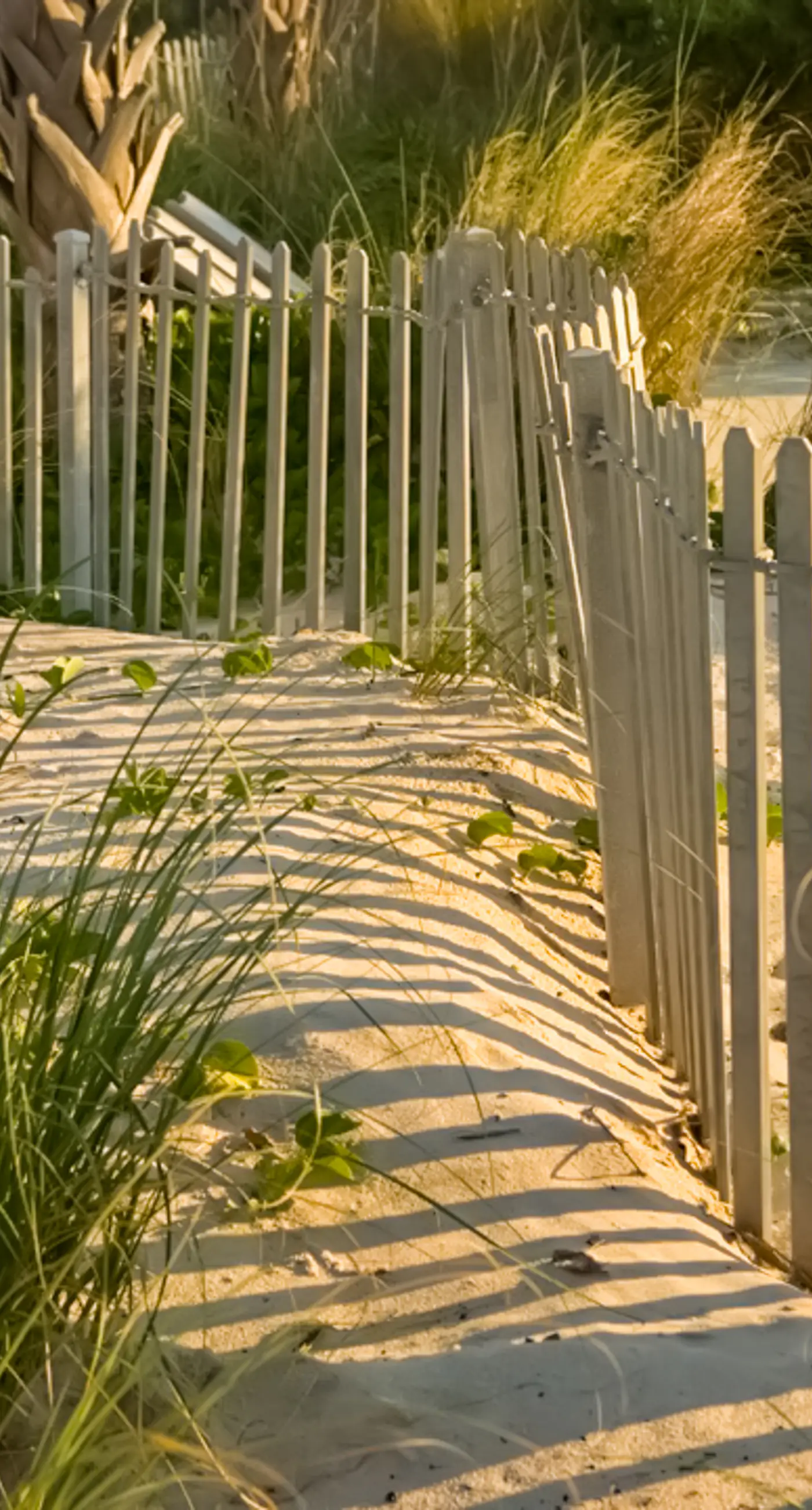 Brand-new home steps to beach with Gulf view, bikes, W/D, & pool access