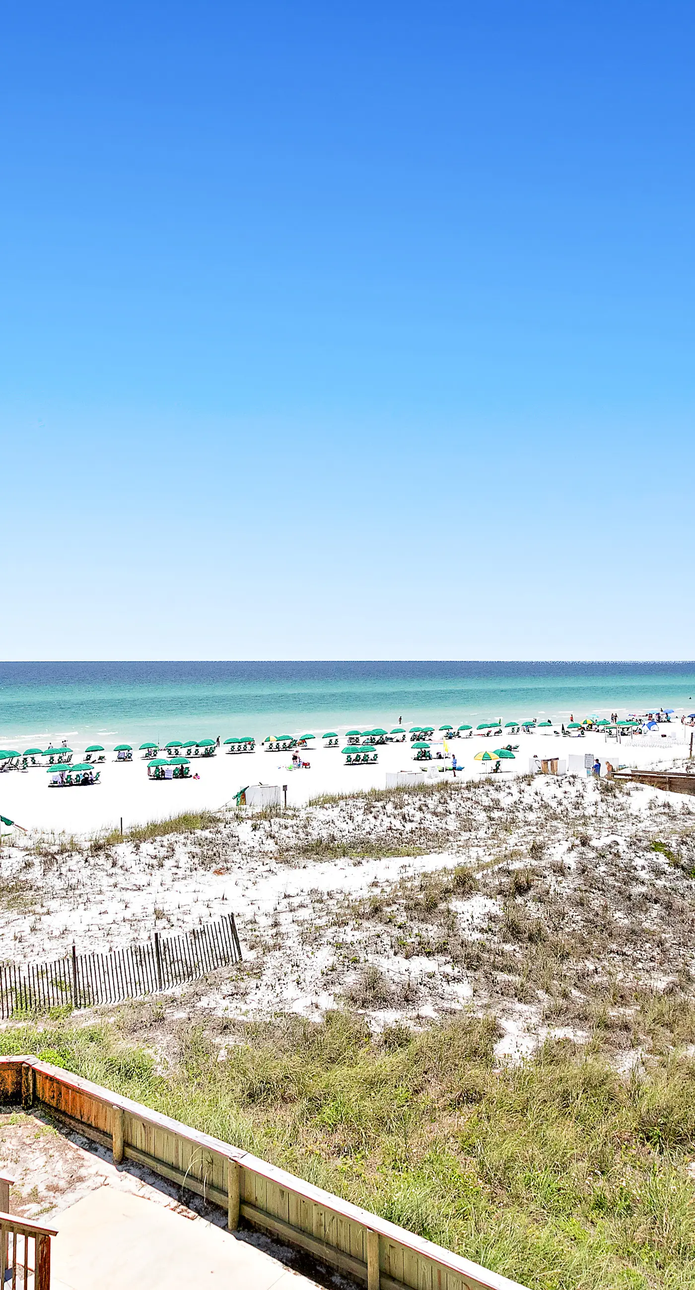 Gorgeous beachfront condo, shared pool and beach access