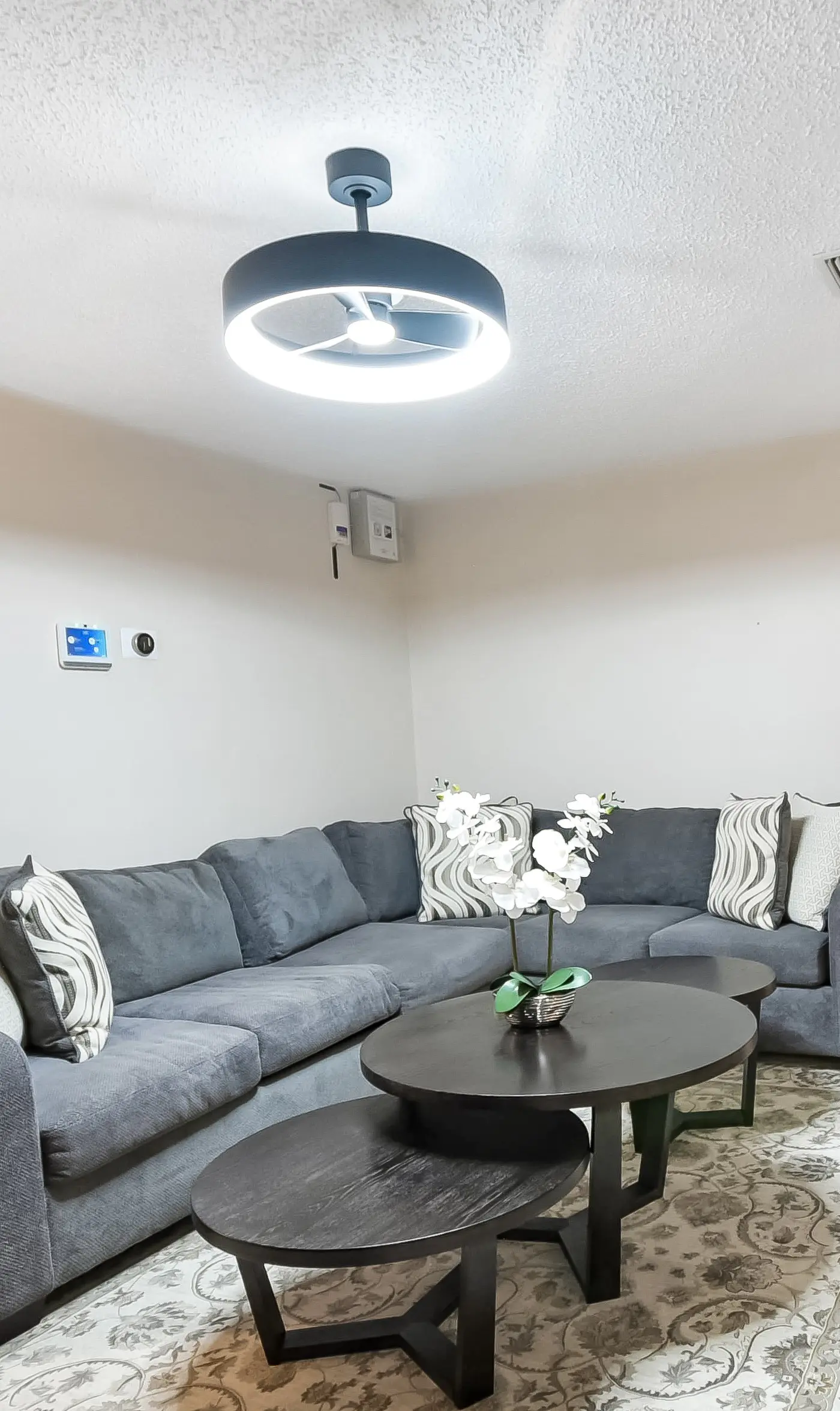 The Grand Luxe Sanctuary : The Crown Jewel Of Jacksonville