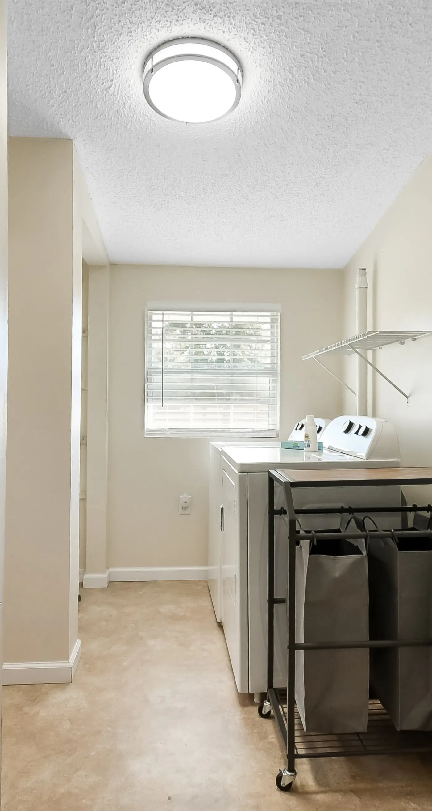 The Grand Luxe Sanctuary : The Crown Jewel Of Jacksonville