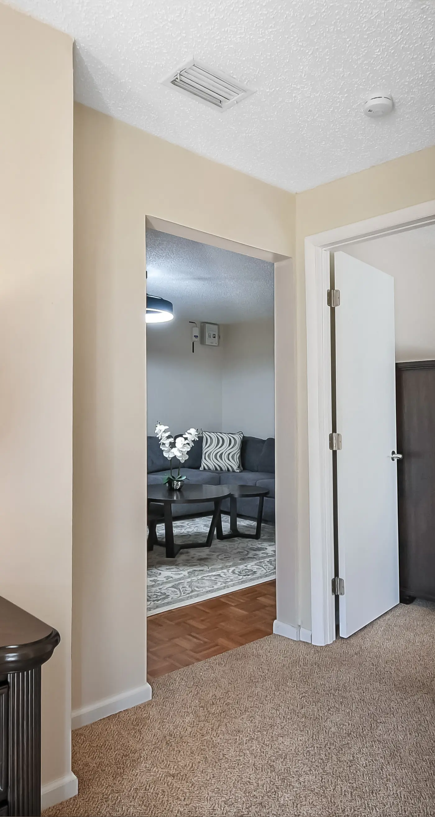 The Grand Luxe Sanctuary : The Crown Jewel Of Jacksonville