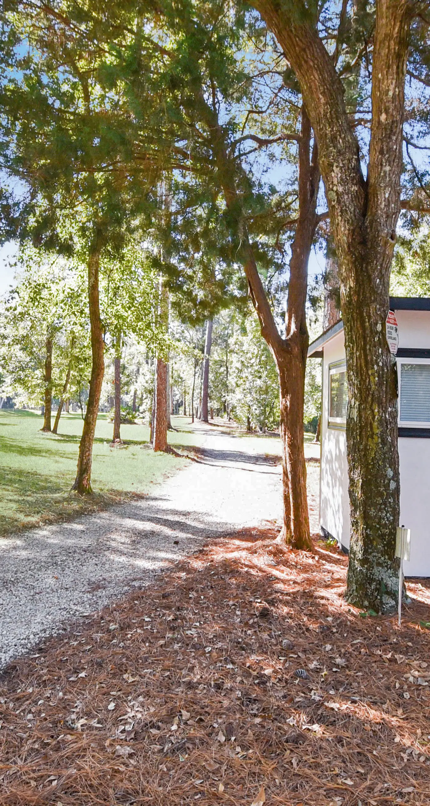 The Grand Luxe Sanctuary : The Crown Jewel Of Jacksonville